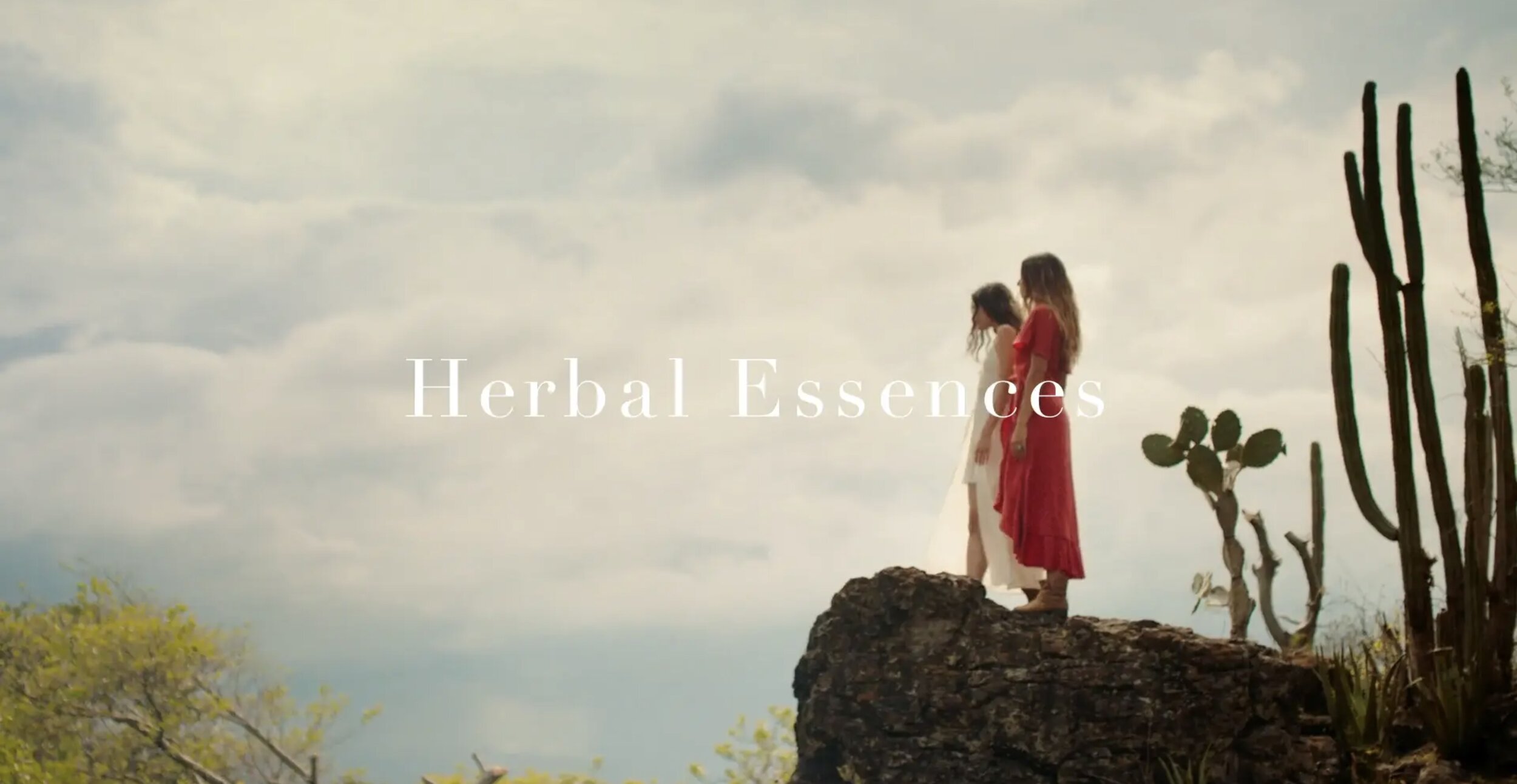 Alloe Collection - Herbal Essences