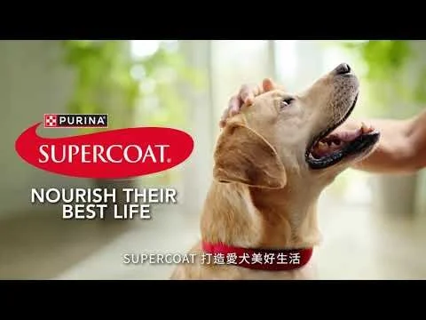 全新PURINA® SUPERCOAT®澳洲銷量No.1狗乾糧 (HQ).jpg
