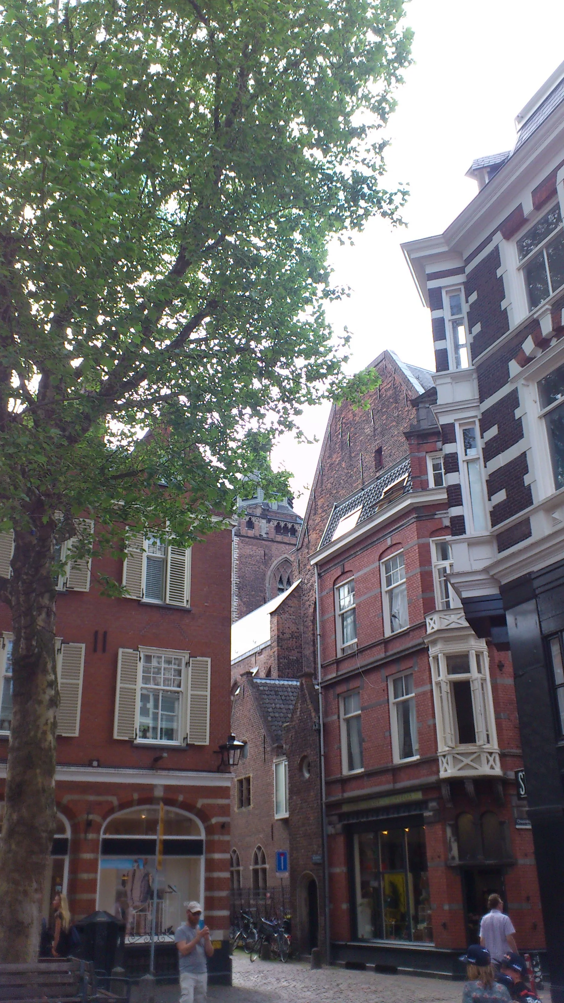 Financing low-carbon transitions. An innovative session at the Earth System Governance Conference