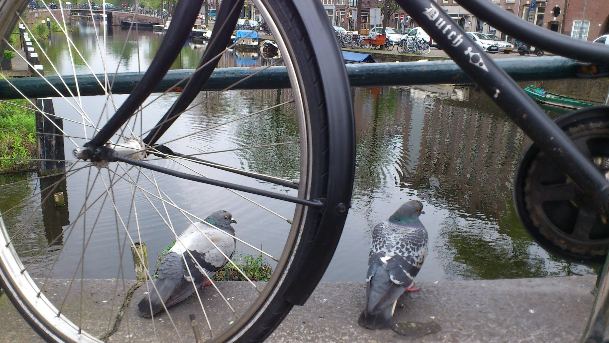 MIDDEN meets REINVENT 