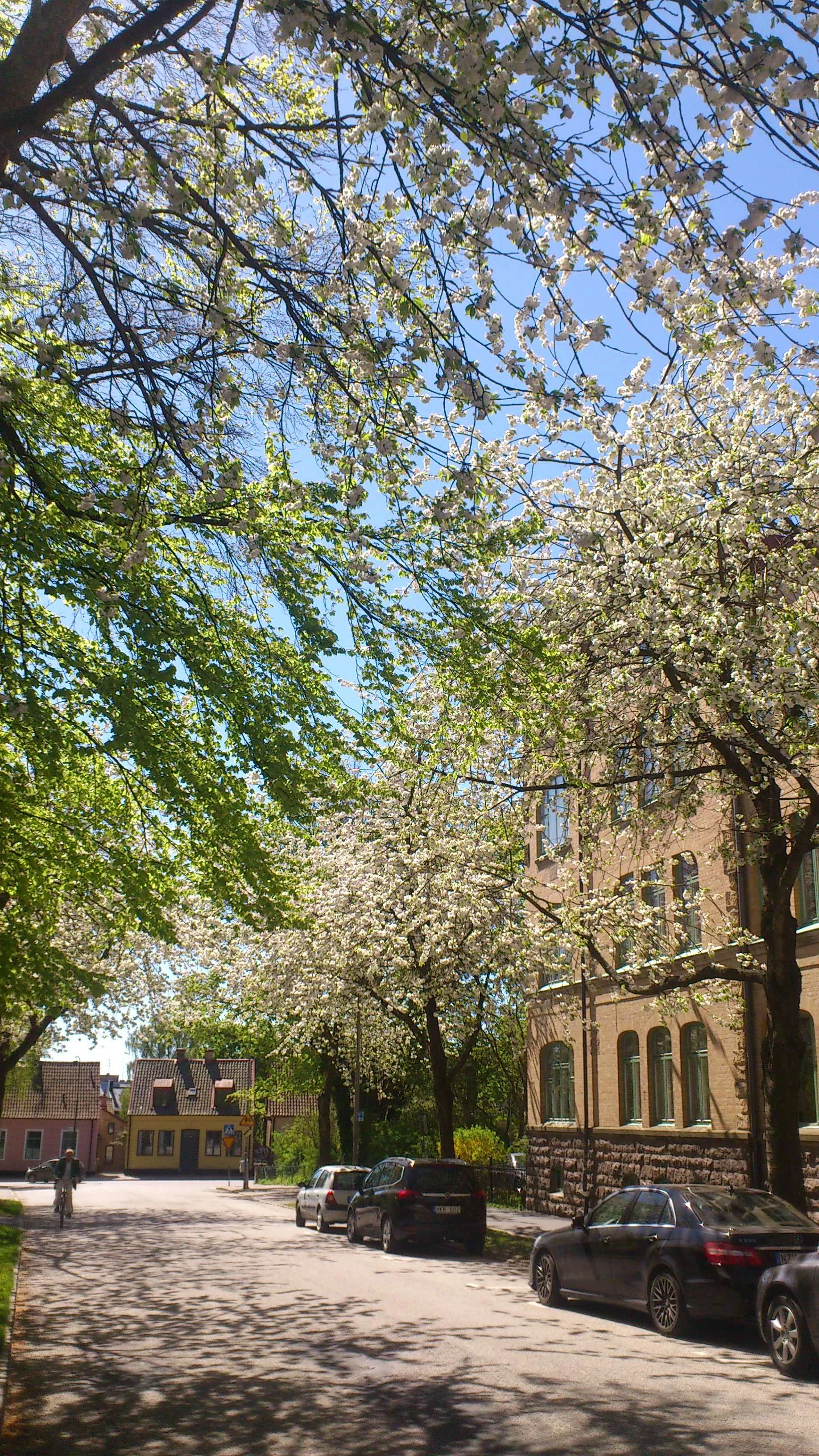 The future of energy in industry