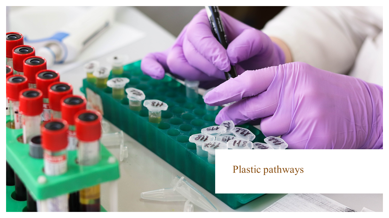 Webinar with the UN Principles for Responsible Investment