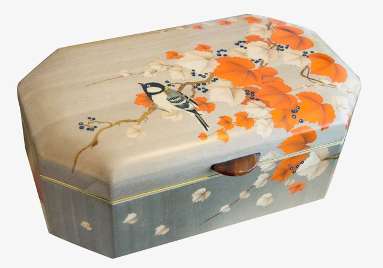 Spotlight on a designer