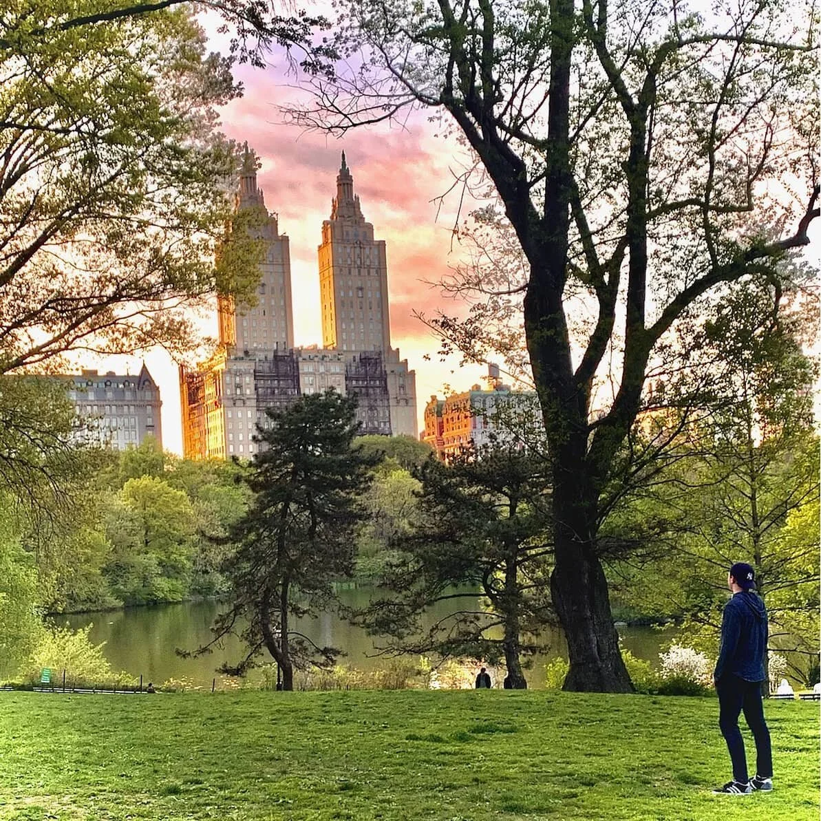 So that's why they call it golden hour
.
📸 by @jessturner16 
.
.
.
#newyork #centralpark #nyc #actor #artist #nyc #nature #goldenhour #sunset #citylife