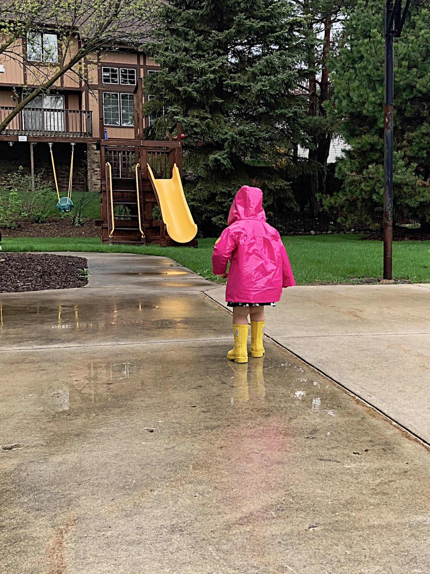 rain puddles.jpg