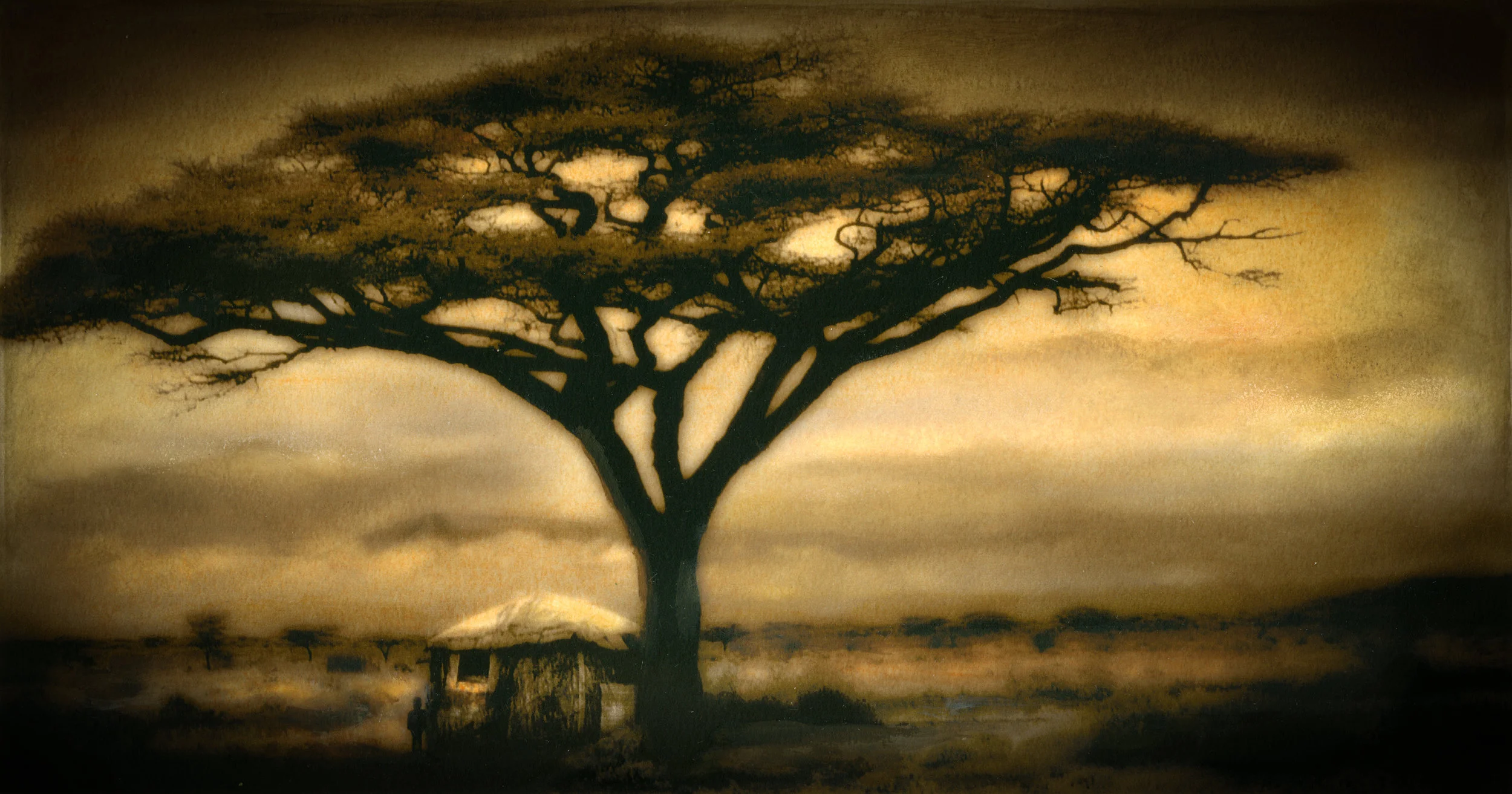 022a_india_tree.jpg