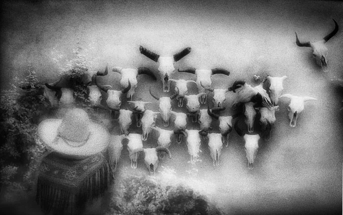 shadows(b&w).jpg