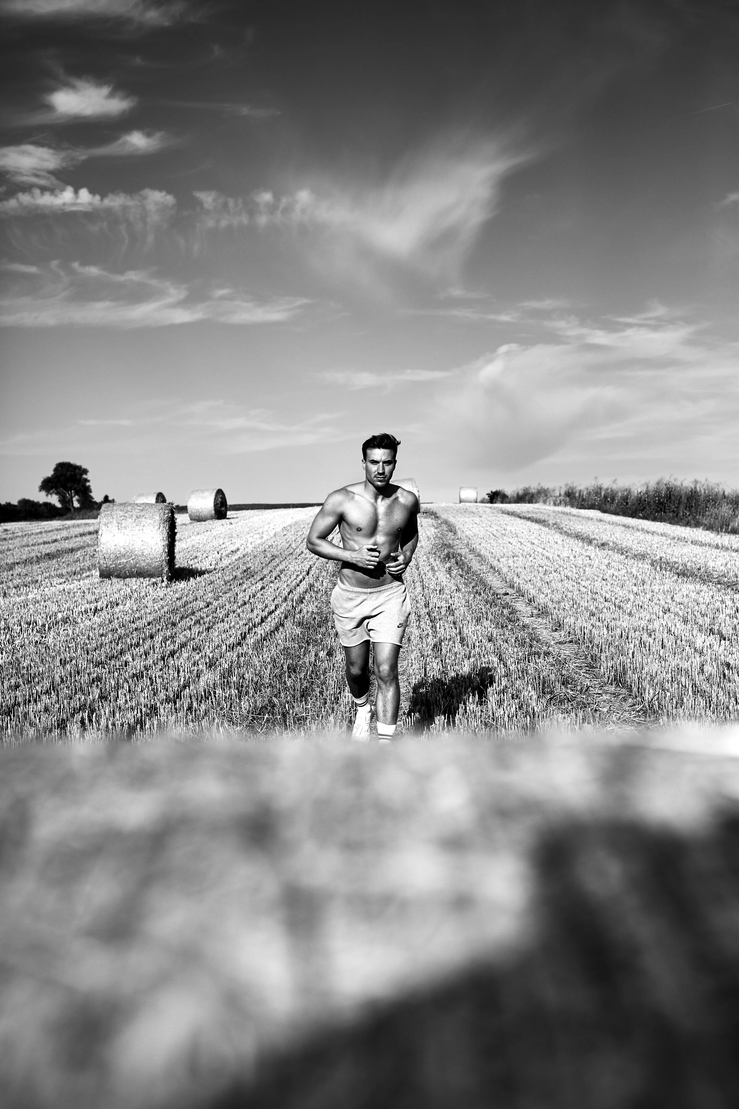 ferdinand_013.jpg