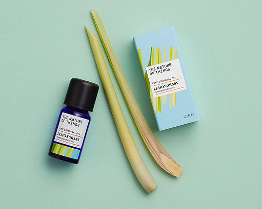 ca-design-essential-oil-lemongrass