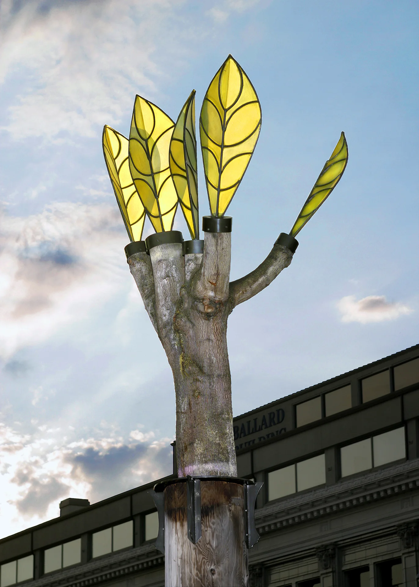 12_NewGrowthTreeHiLiteVers2.jpg