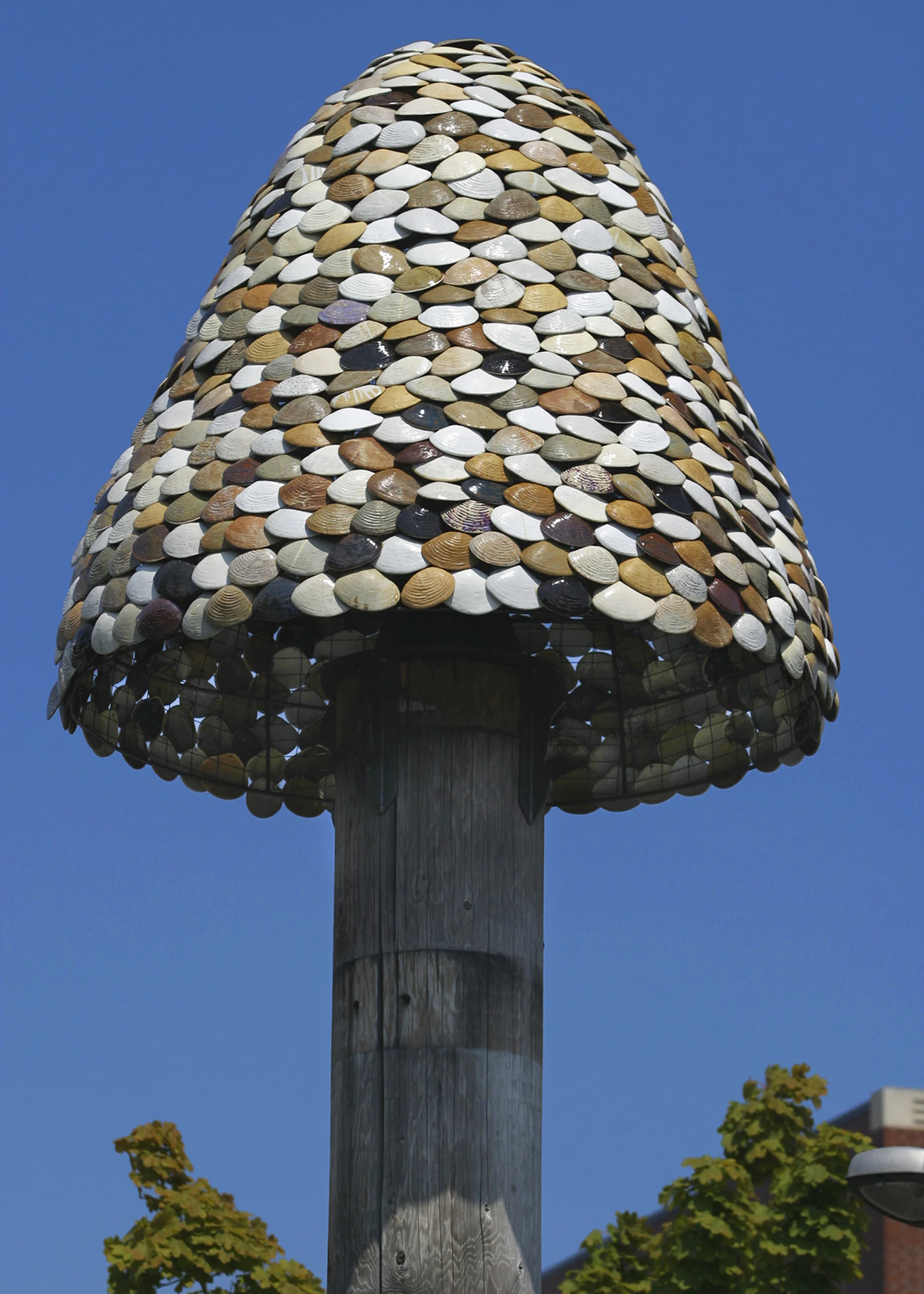 13_WitnessTrees_ClamTree.jpg