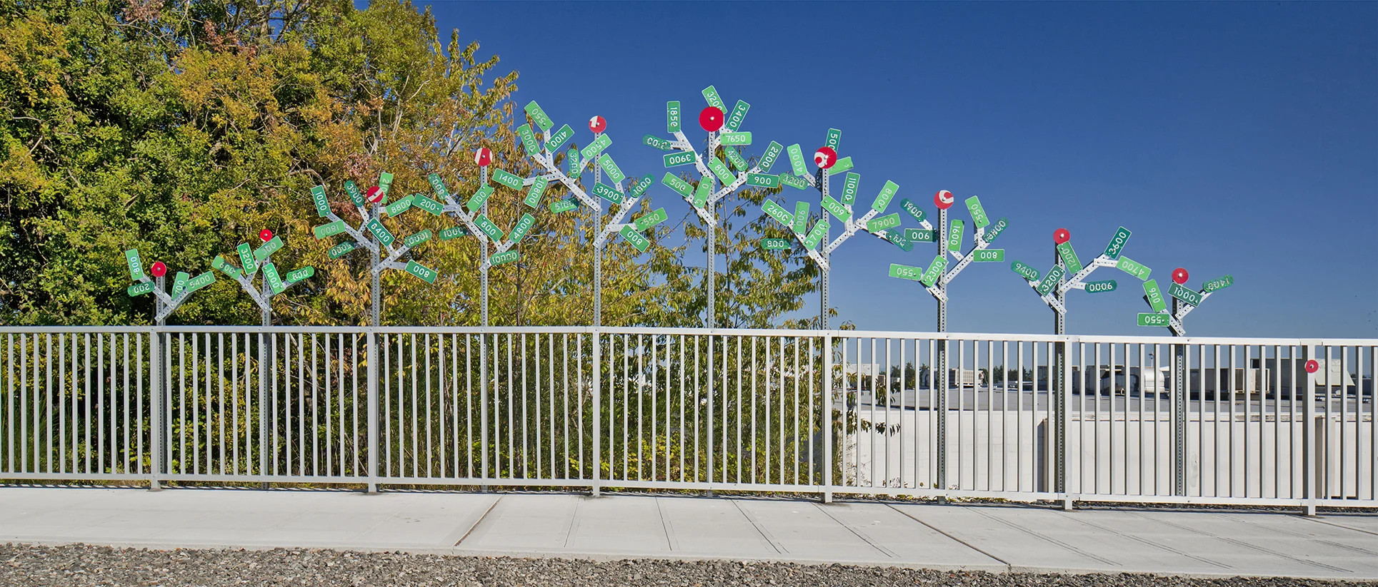 PlayLand_Forest.jpg