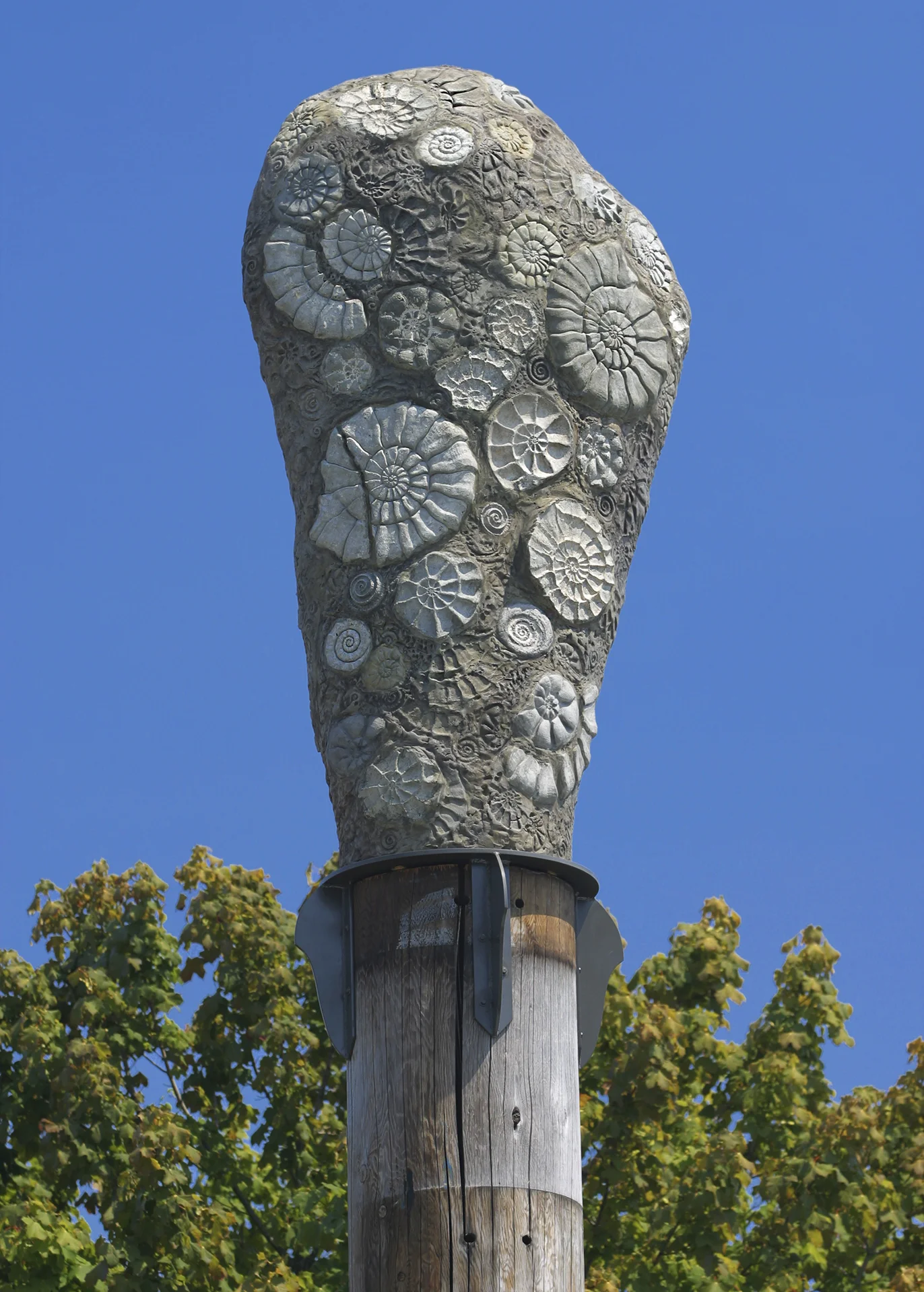  Fossil Tree, Concrete and steel 