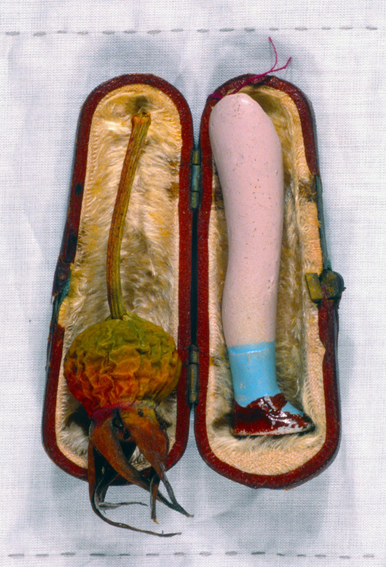 1920_EideticRecollectionsDollleg.jpg