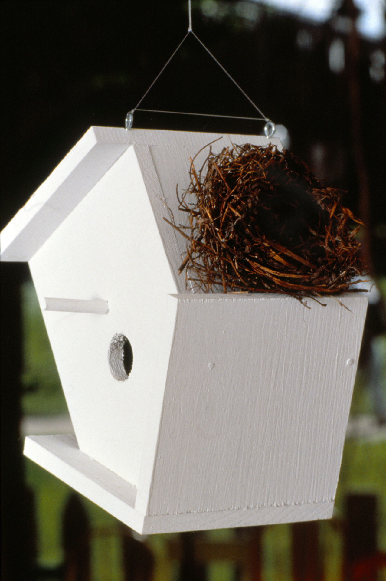 BaseDegreesBirdhouse.jpg