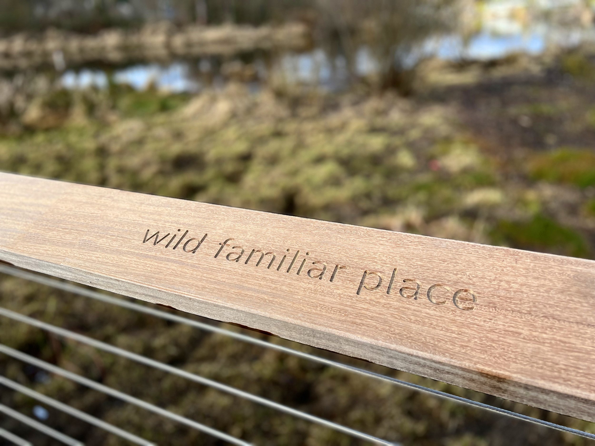 06_Ipe_WildFamiliarPlace_FINAL_IMG_7207_2500px.jpg