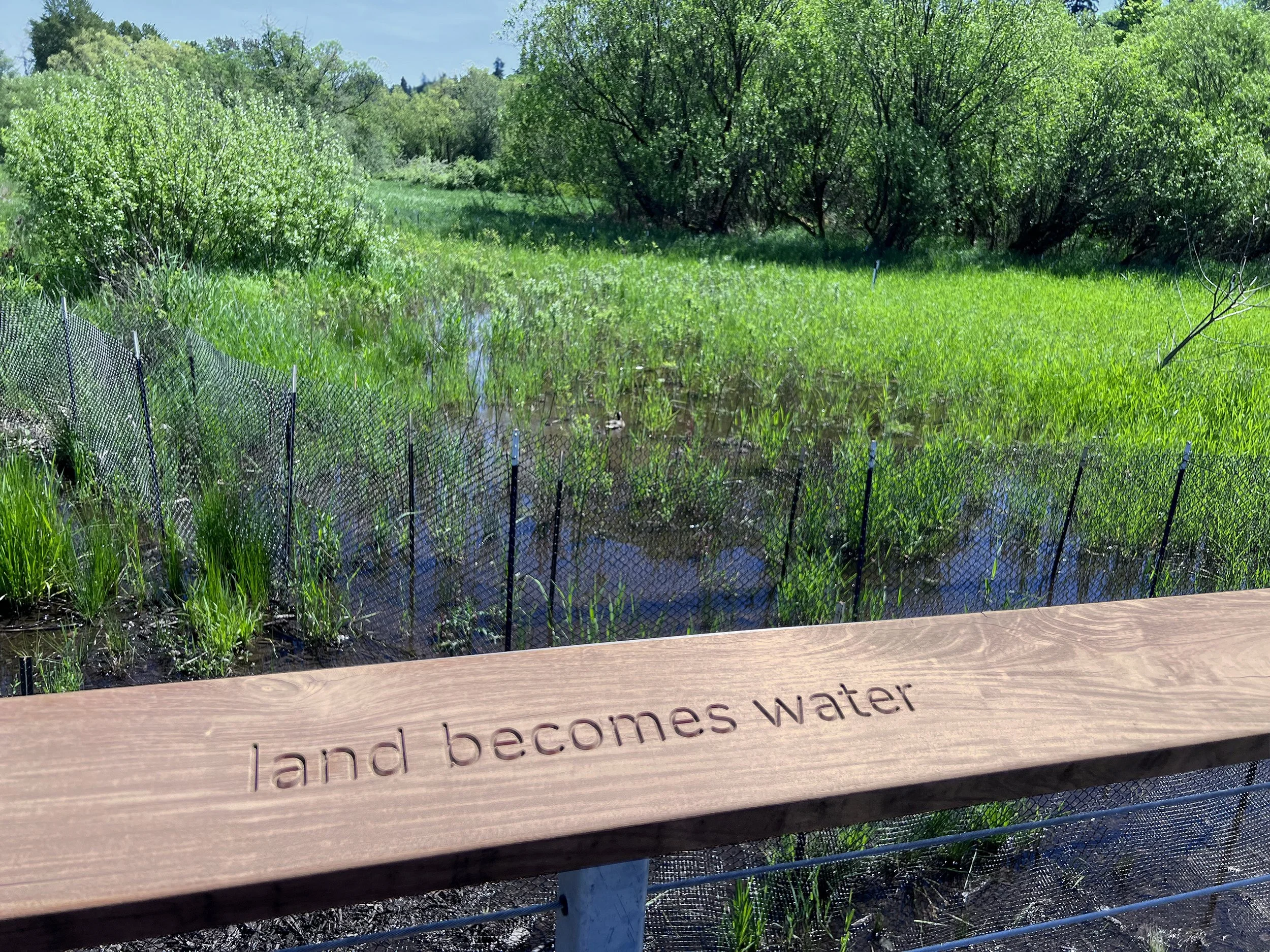 09_Ipe_LandBecomesWater_FINAL_IMG_8387_2500px.jpg
