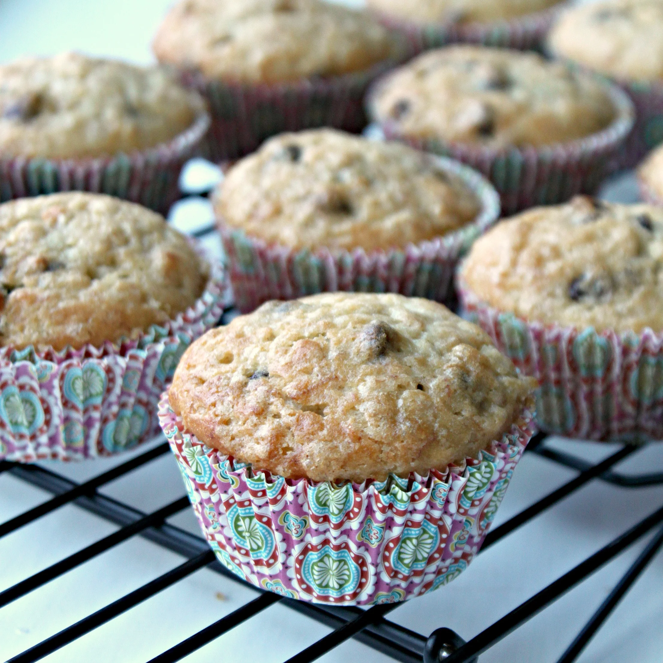 Chocolate Chip Banana Muffins