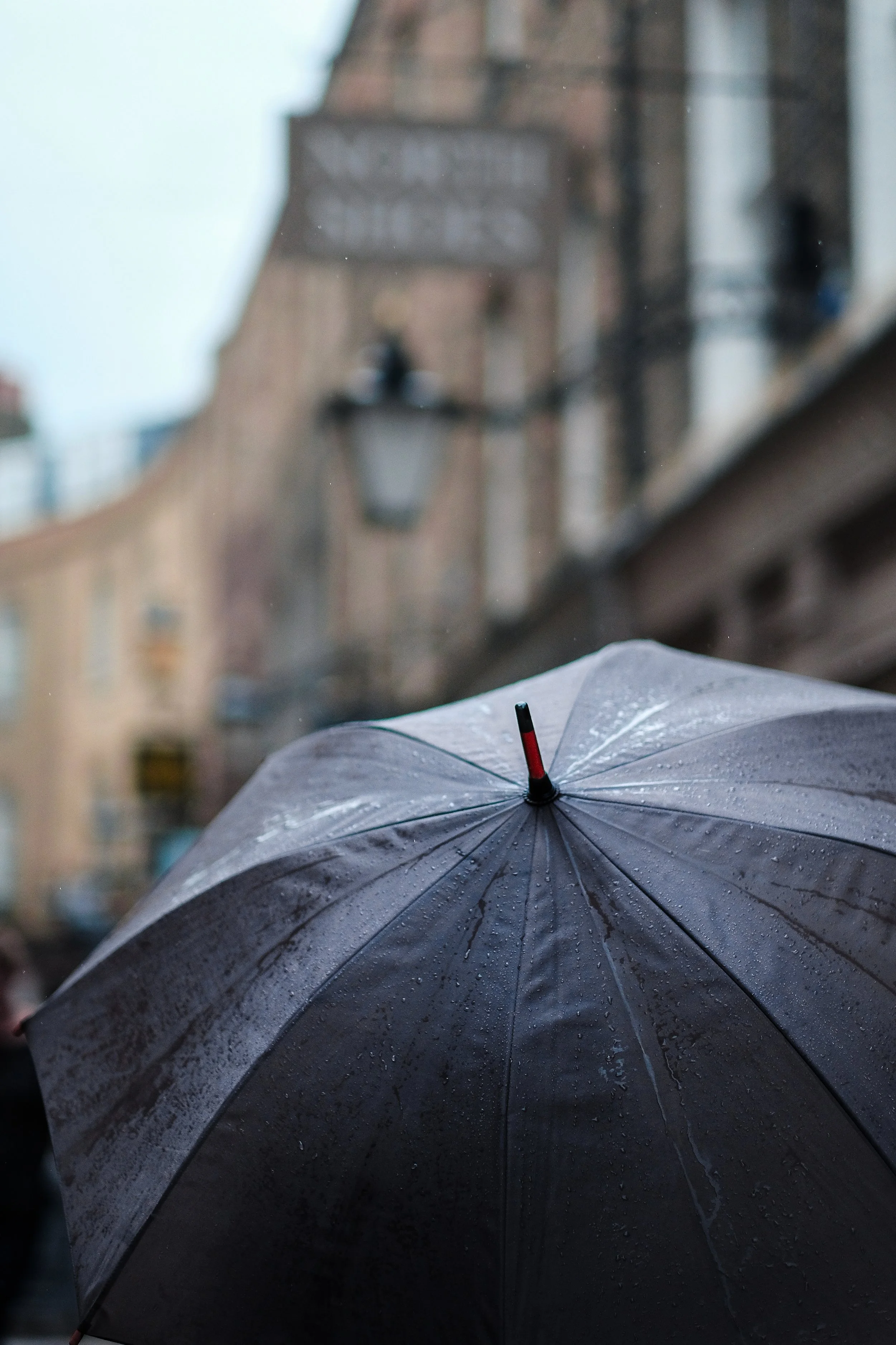 craig-whitehead-280825 umbrella.jpg