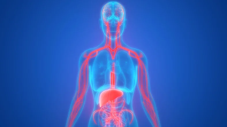 Which foods cause inflammation in the body? 