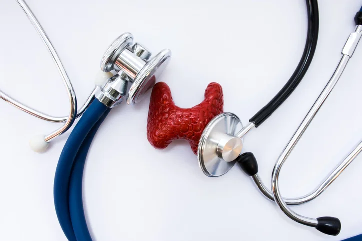 Thyroid Health: How it Plays a Role in Weight Maintenance 