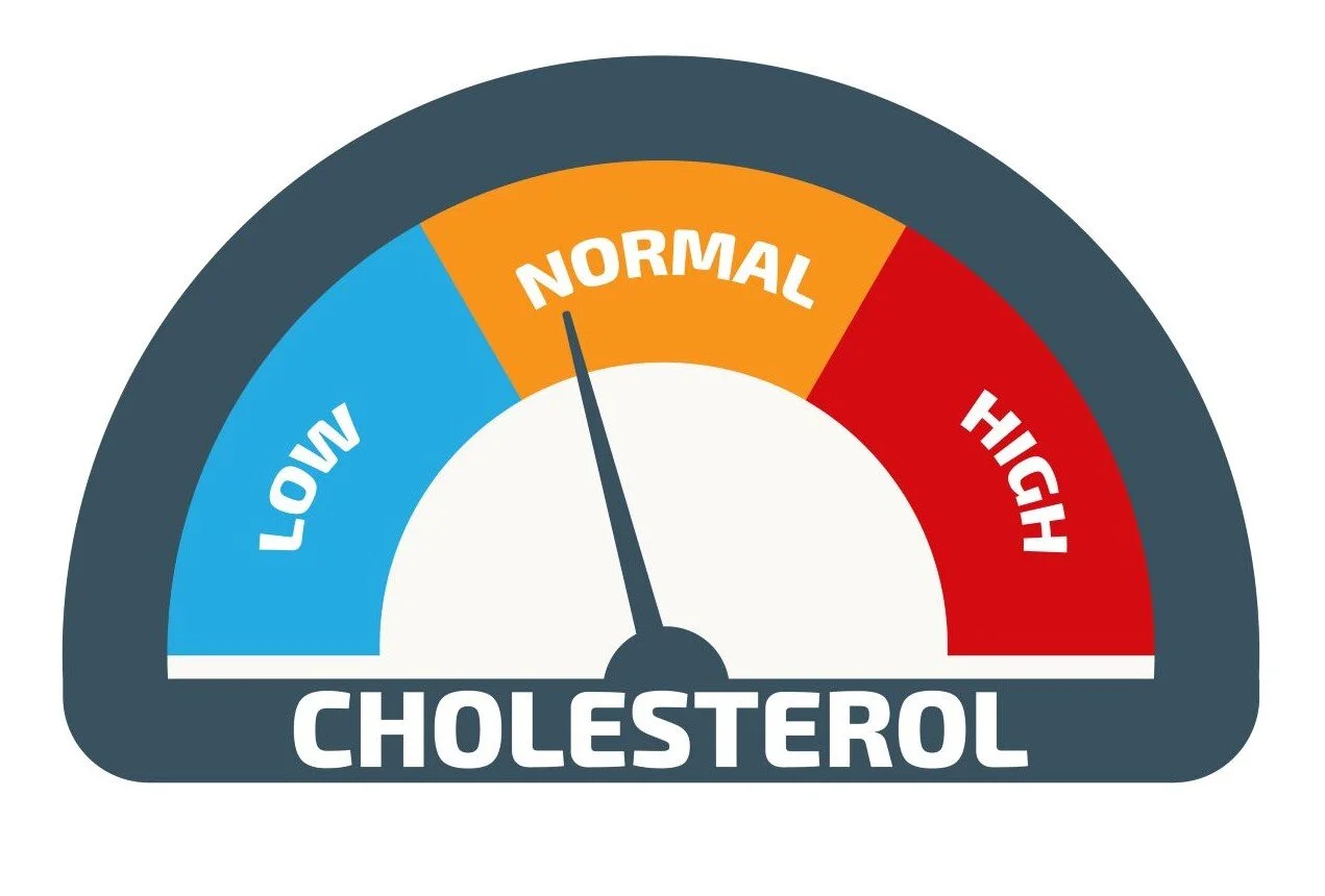 Foods that Keep Cholesterol in Check