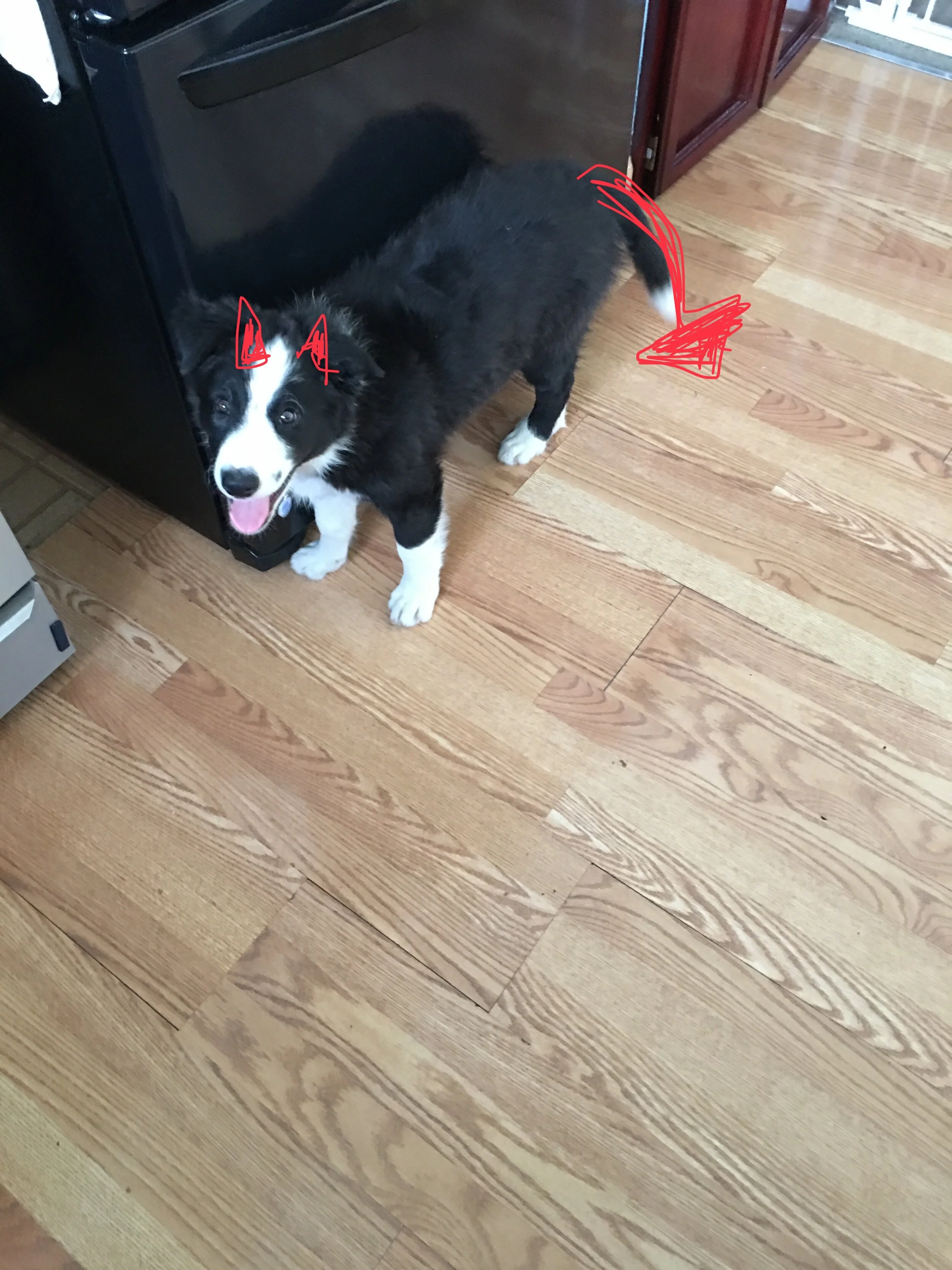 What have I gotten myself into?