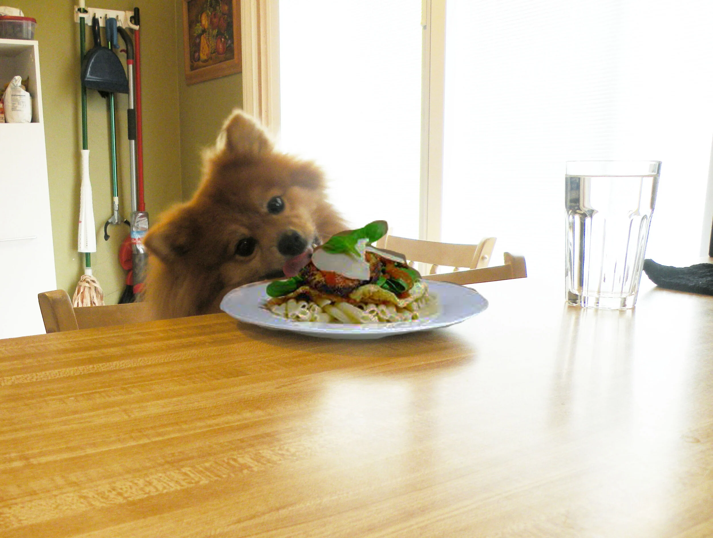 Counter surfing 