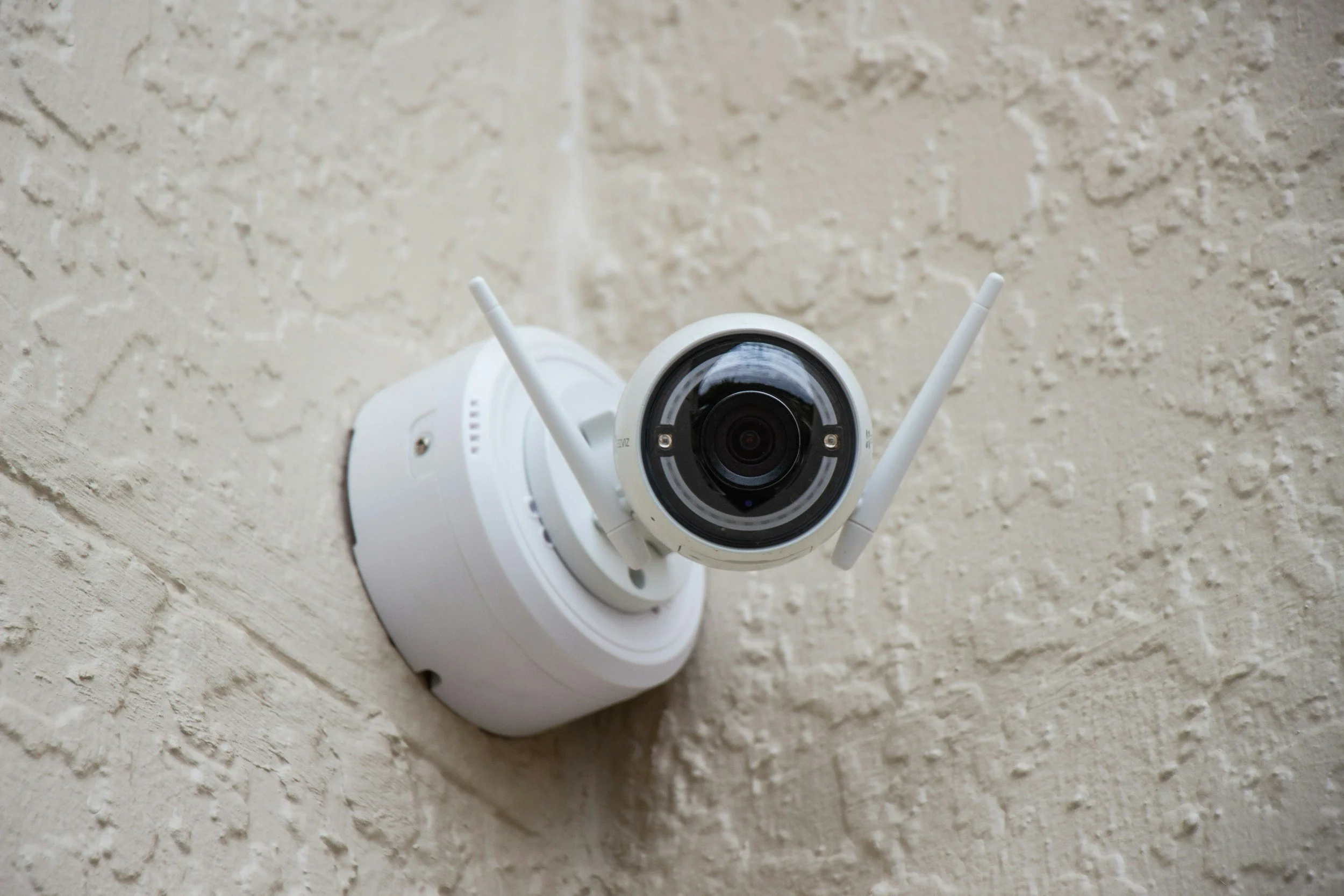 Cameras on litter boxes 