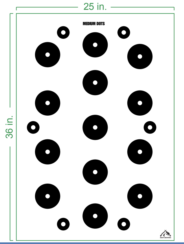 MEDIUM DOTS TARGET.png