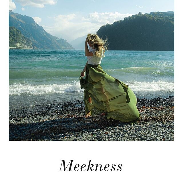 The way the Bible teaches on meekness is not the way we have been taught on meekness! Leading as someone who is clothed in meekness actually requires bold Faith. Go to my new blog post to read more! Link is in my profile 🙌
