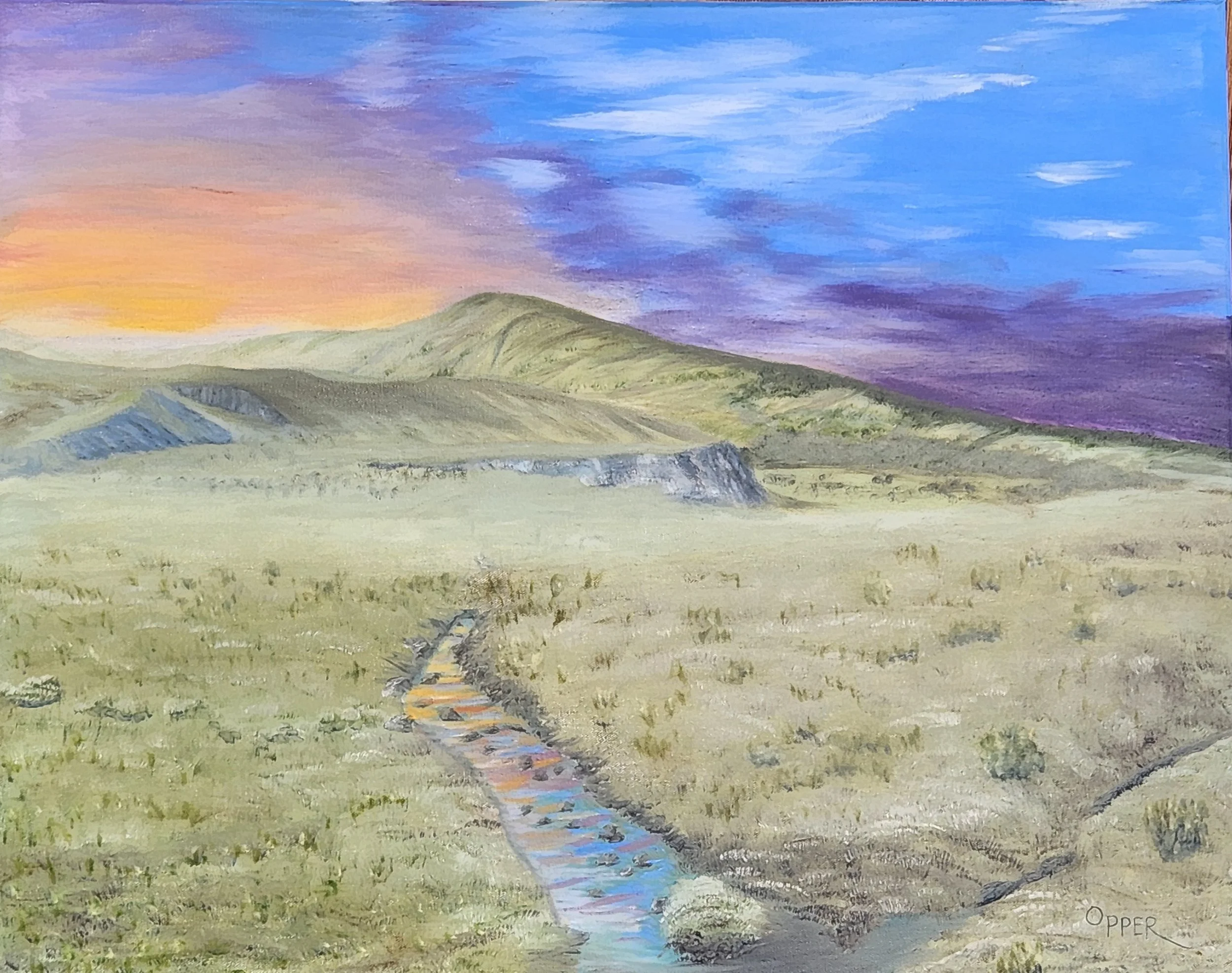 Eastern MT Wetland 2.jpg