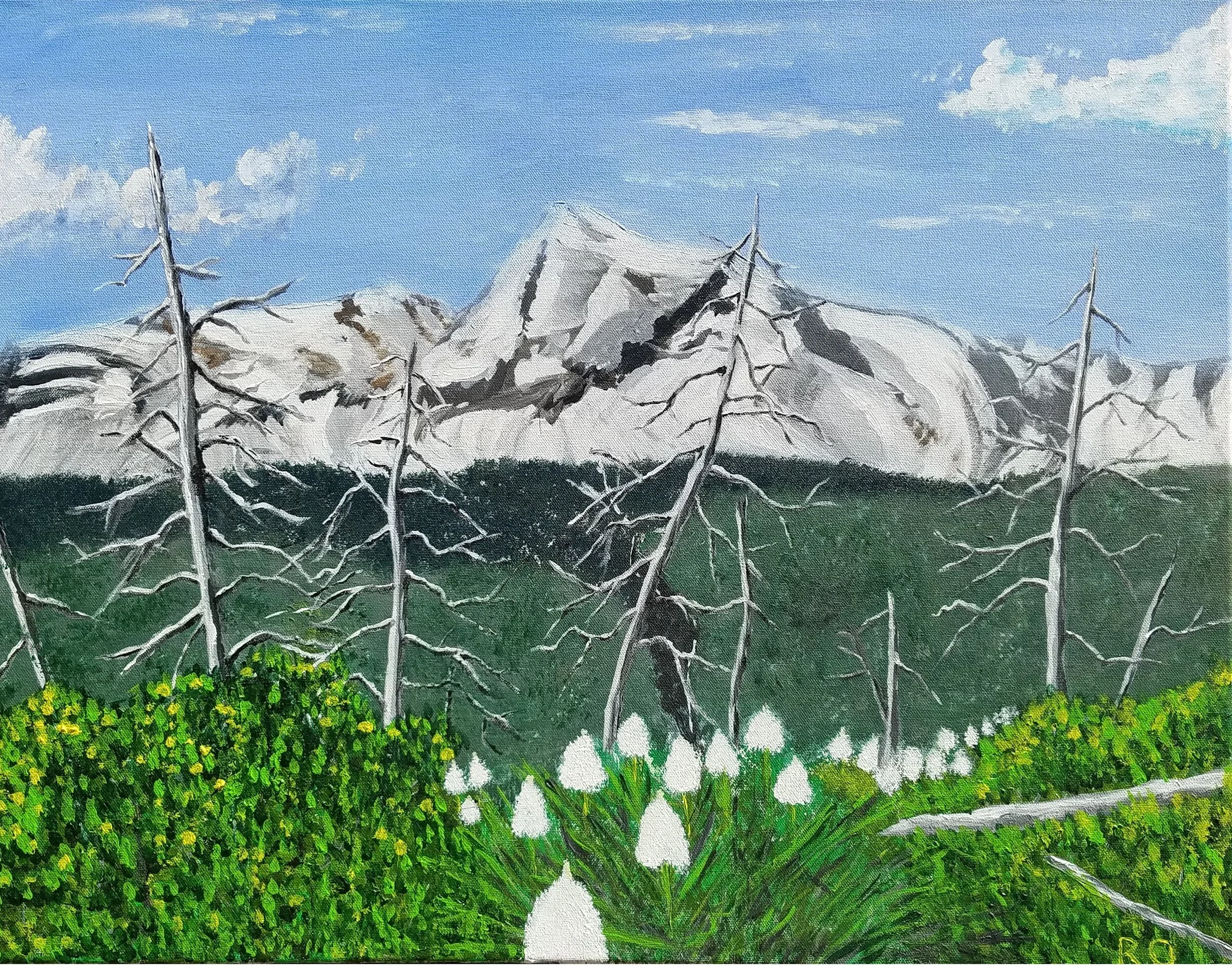 Heavens Peak Hike.jpg