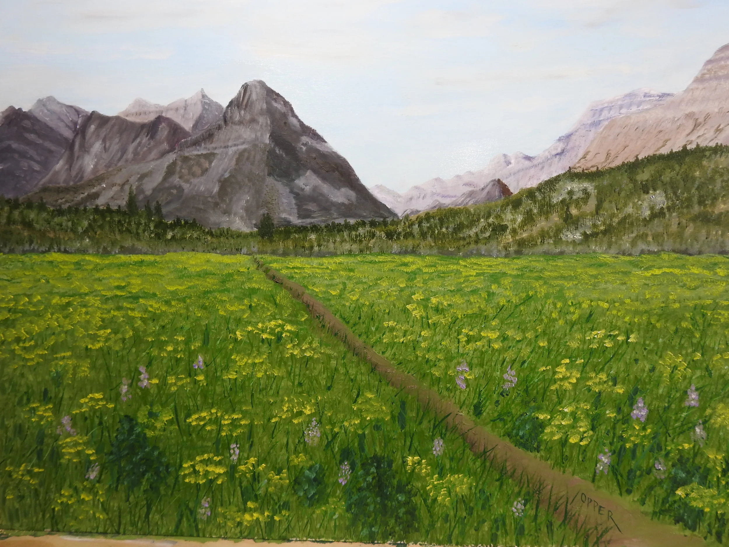 Belly River Valley, Glacier National Park