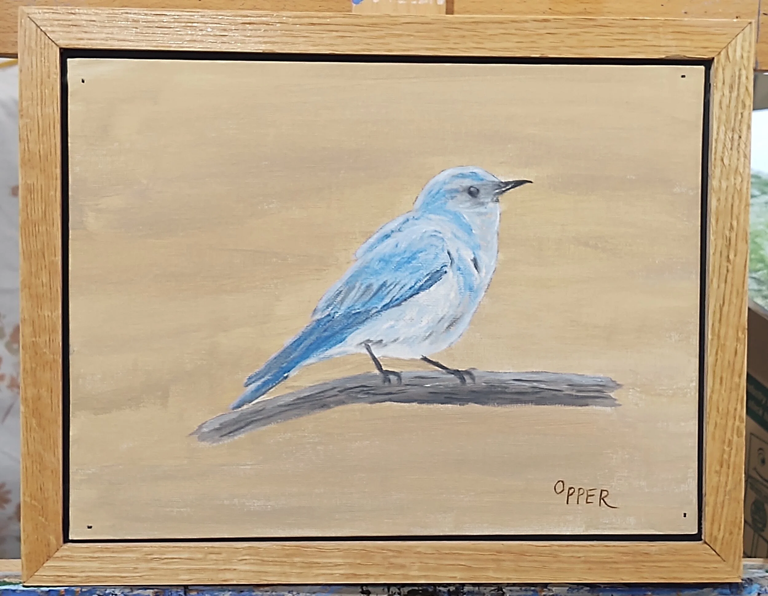Bluebird 2.jpg
