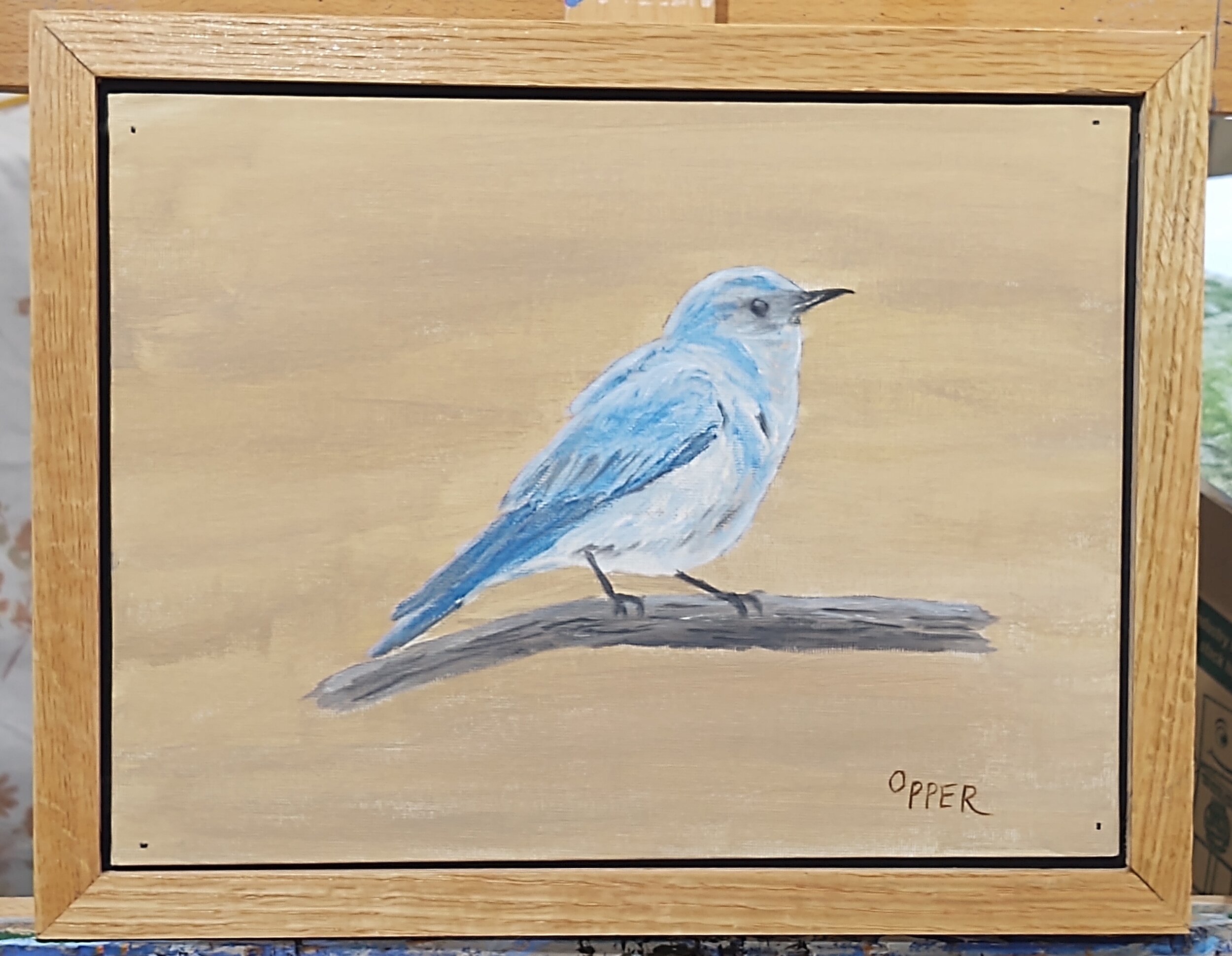 Bluebird