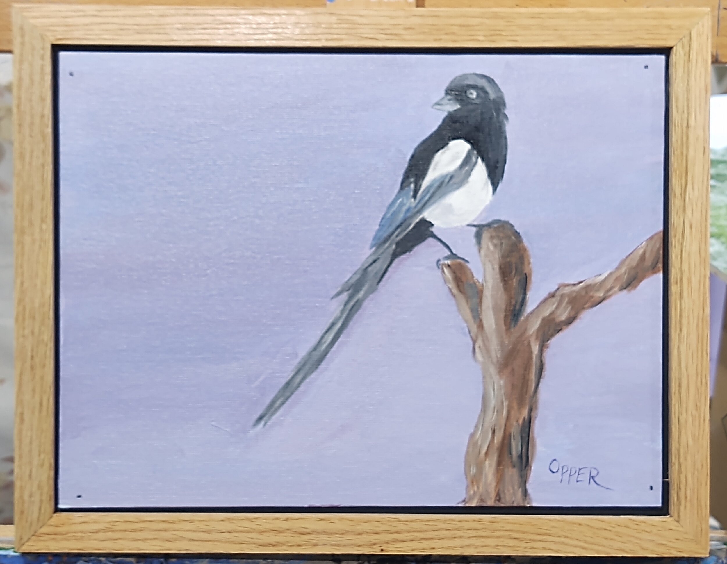 Magpie