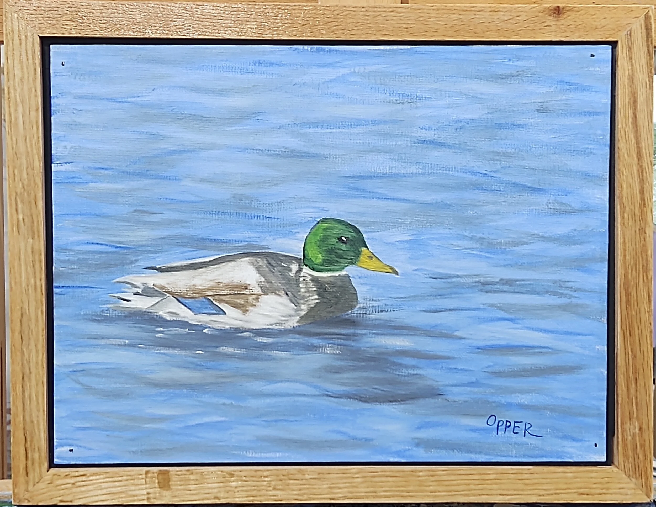 Mallard 2.jpg