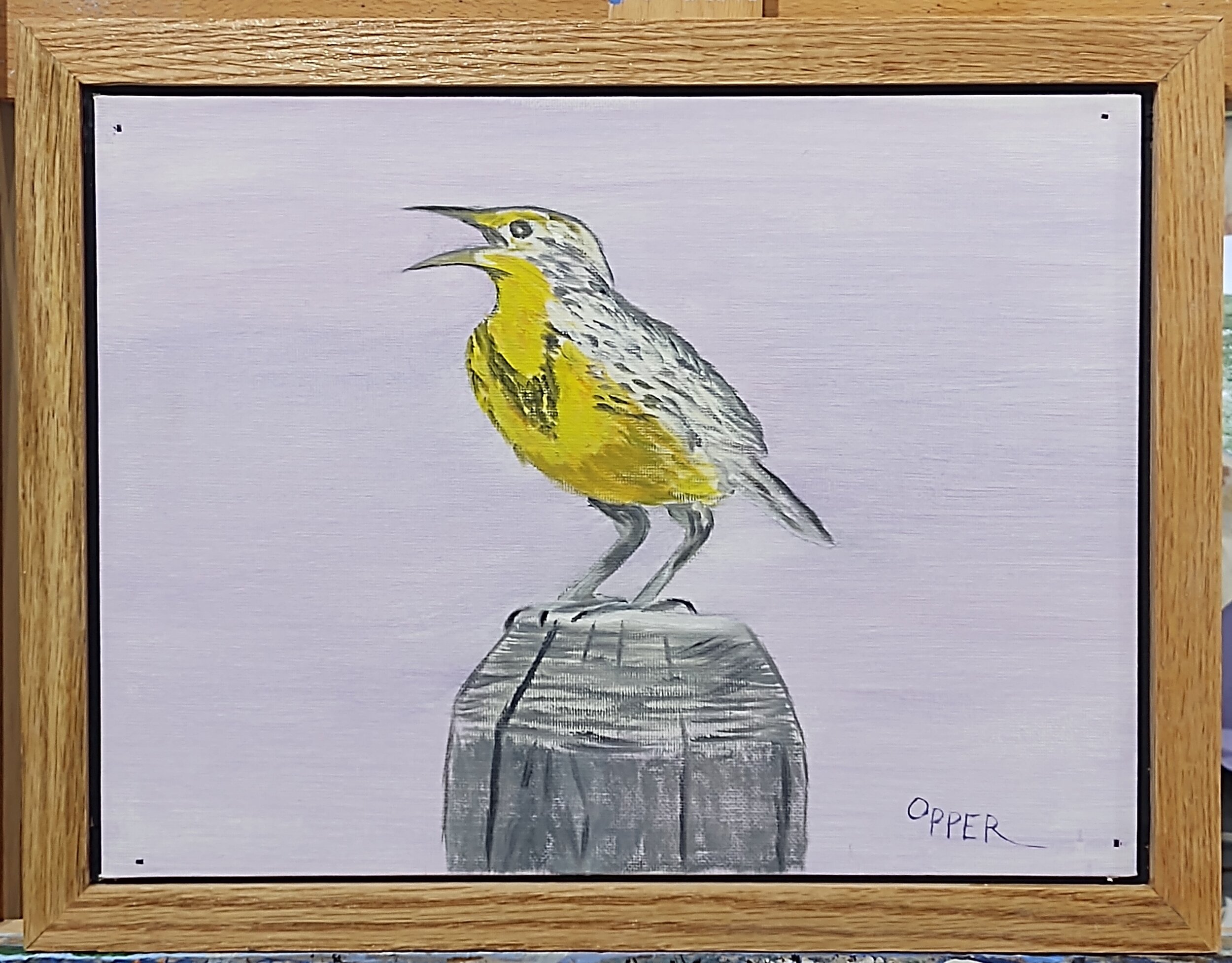 Meadowlark 2.jpg