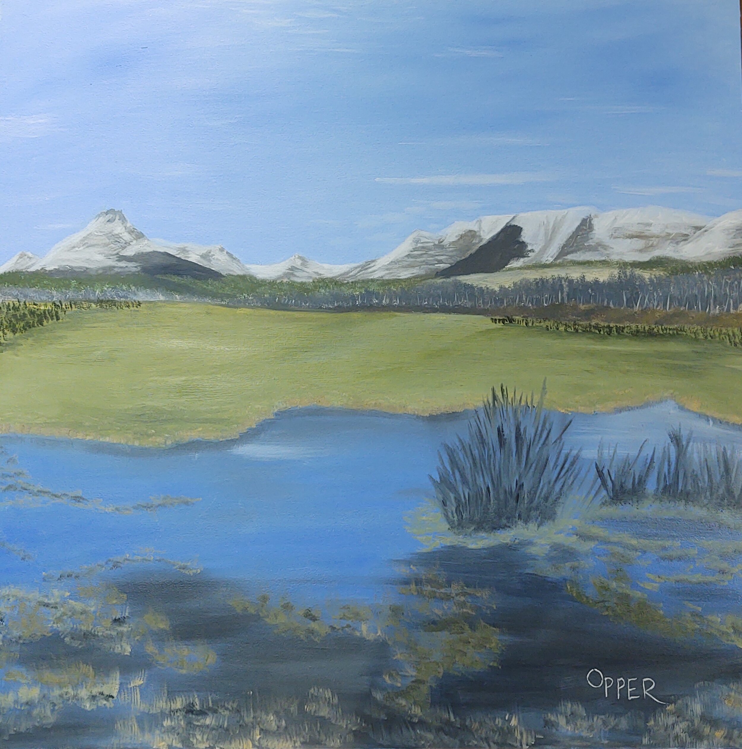 wetland painting.jpg