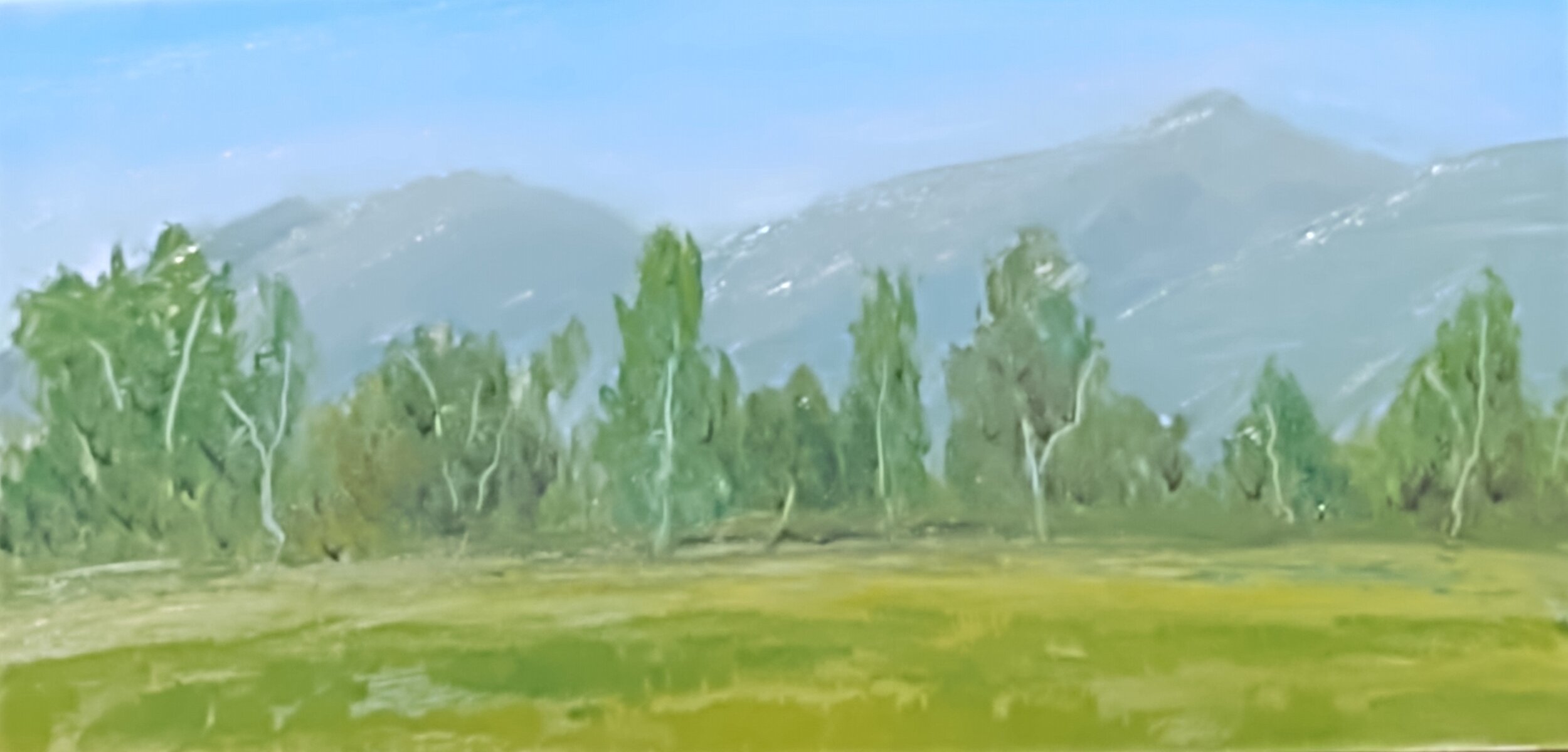 Bitterroot Mountain Scene