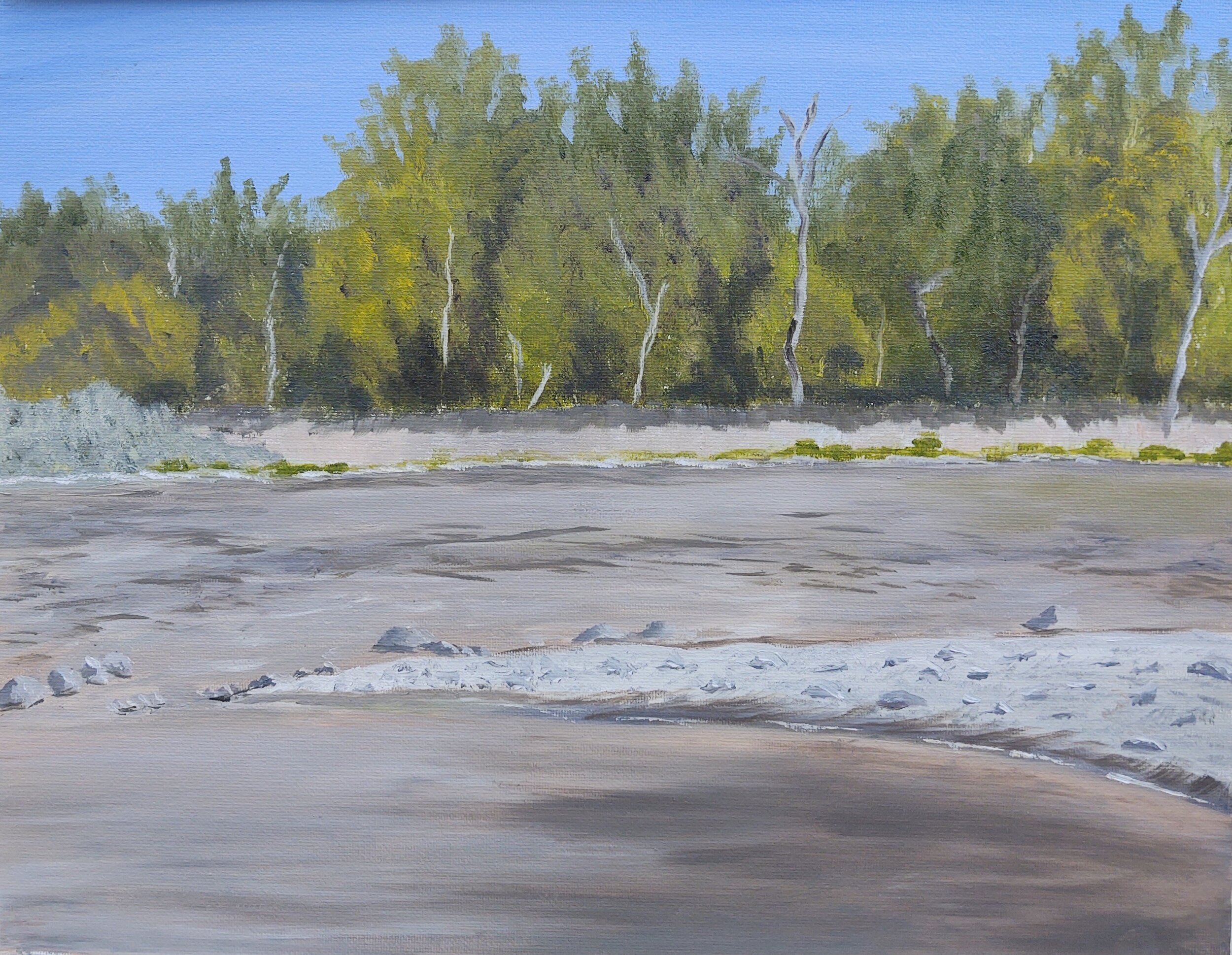 Clark Fork River.jpg