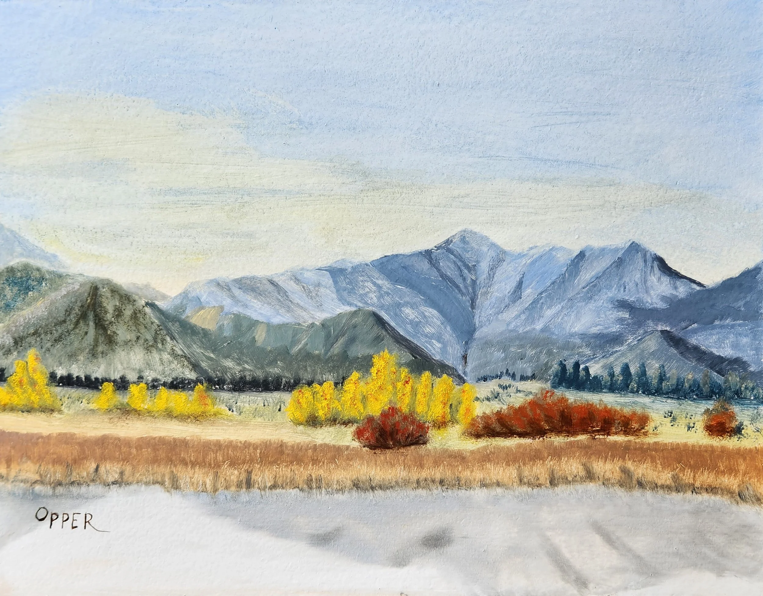 Browns Lake 2.jpg