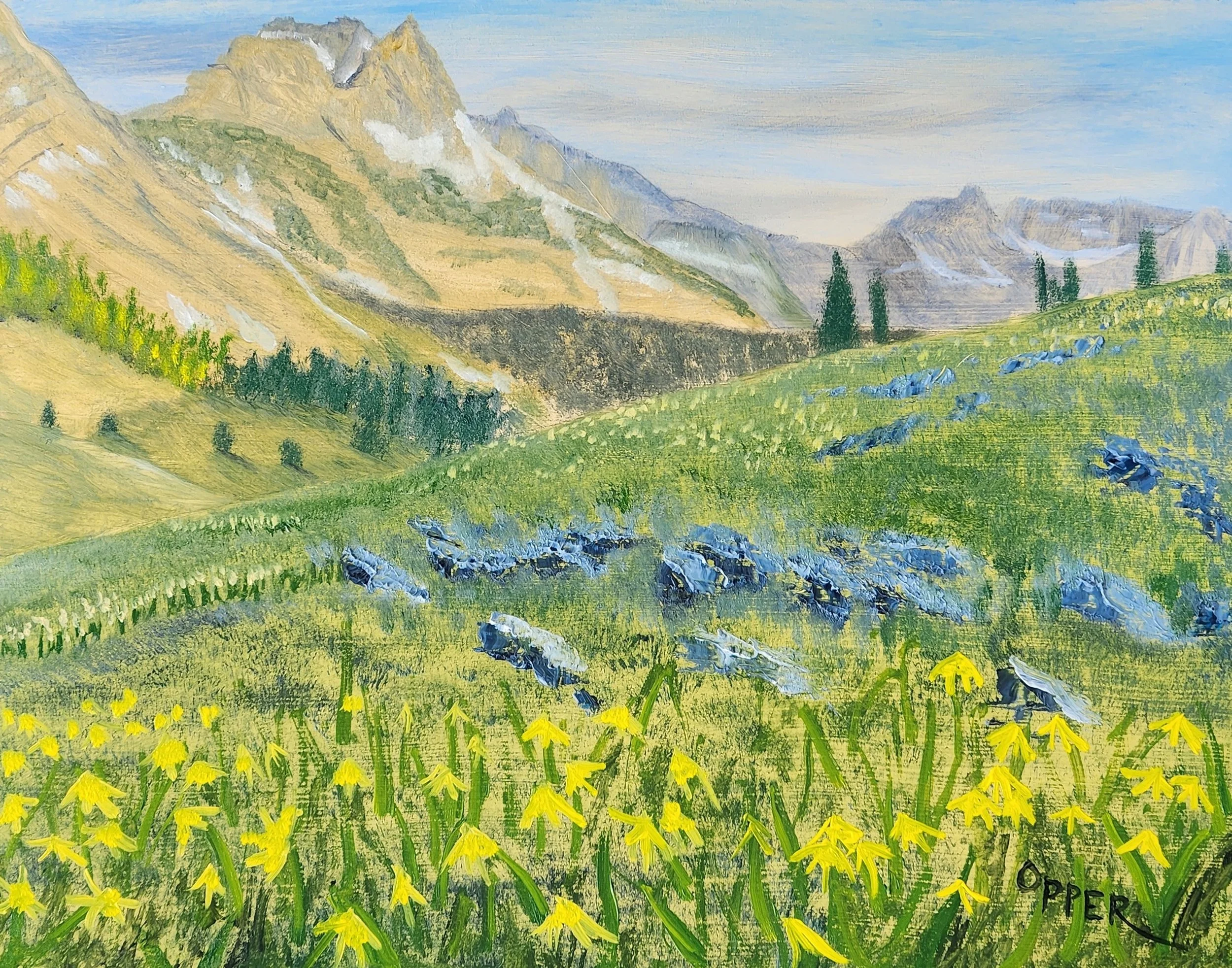 Glacier Lilies at Granite Park.jpg