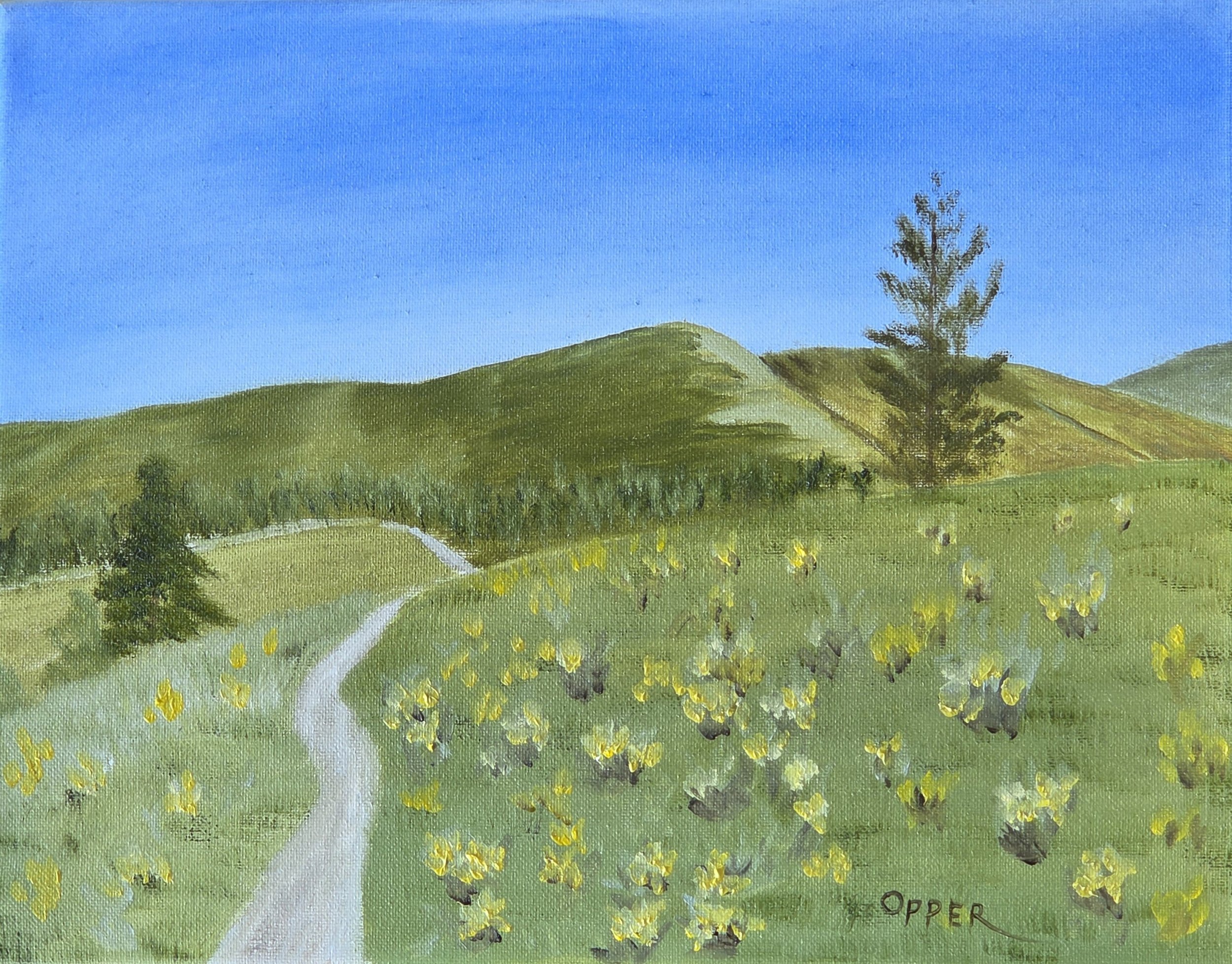 Spring Balsamroot