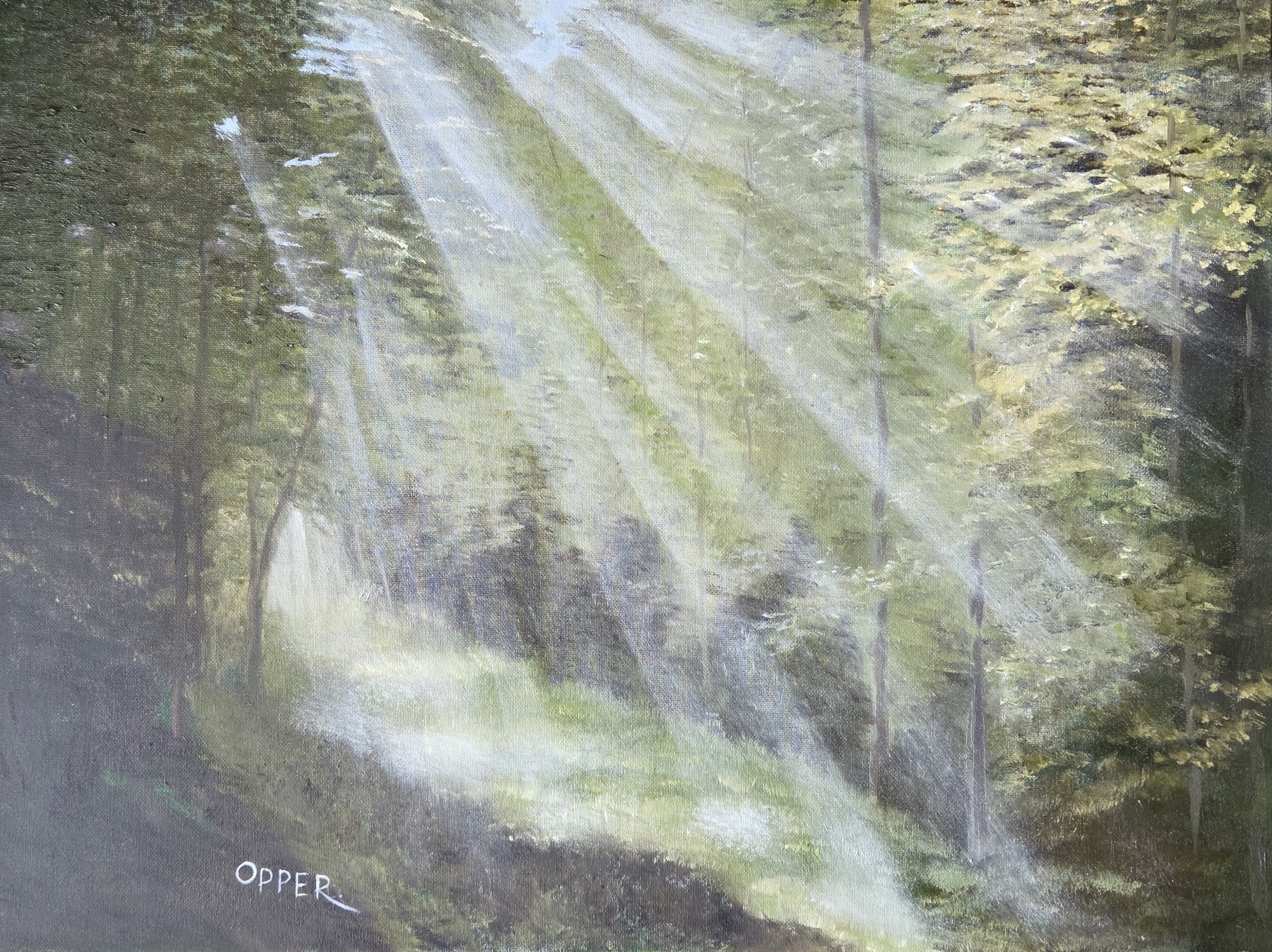 Forest Light