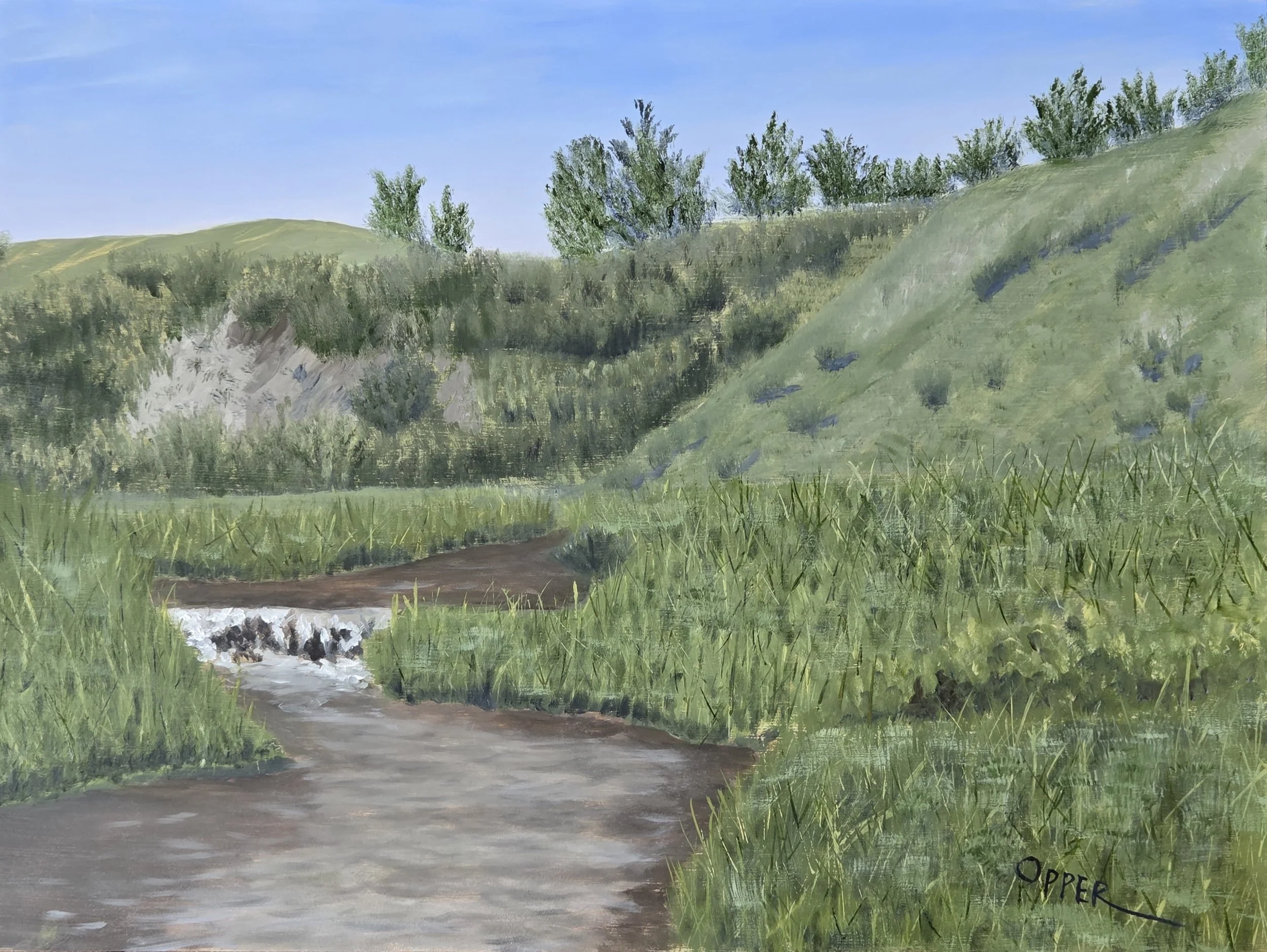 East Fork of Spring Creek