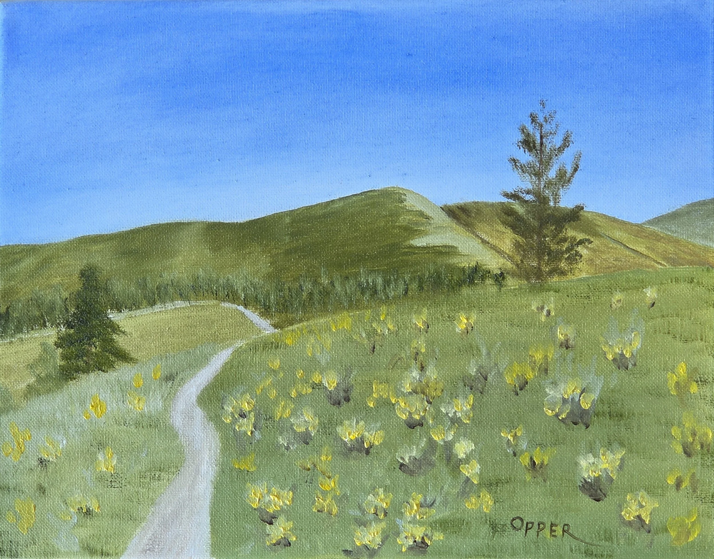 Balsamroot - 2025.jpg