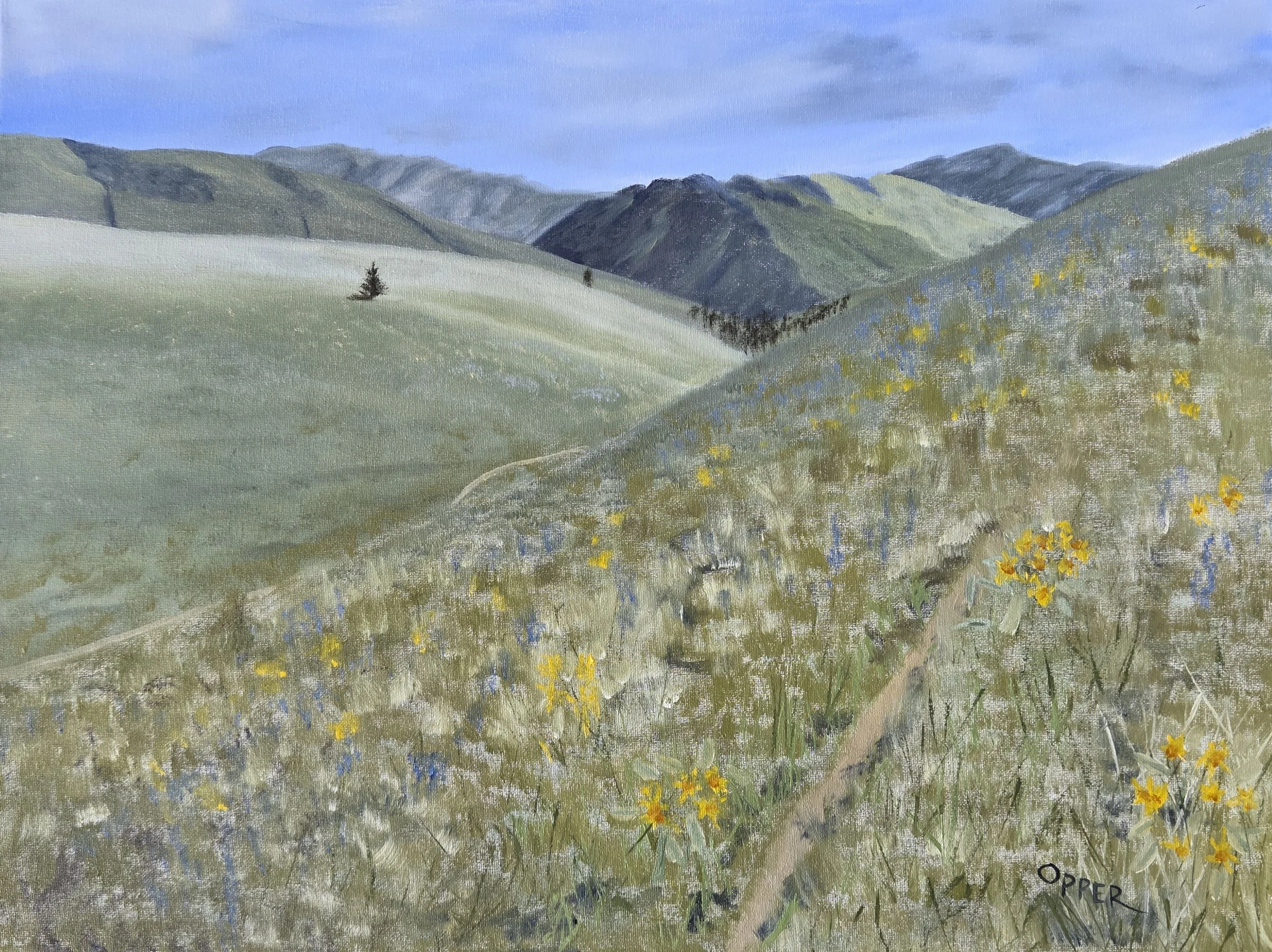 Cherry Gulch.jpg