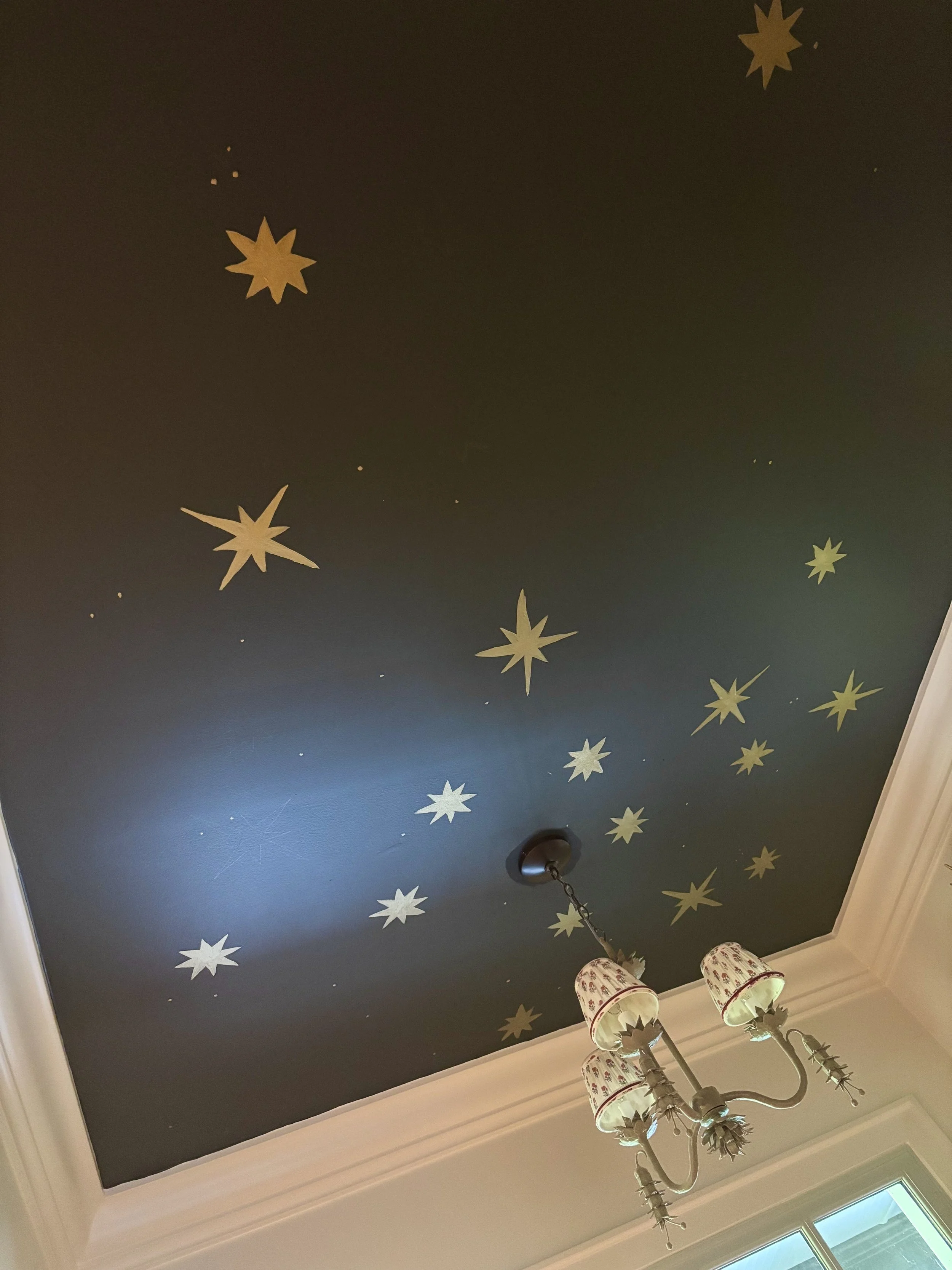 Satr ceiling.jpg